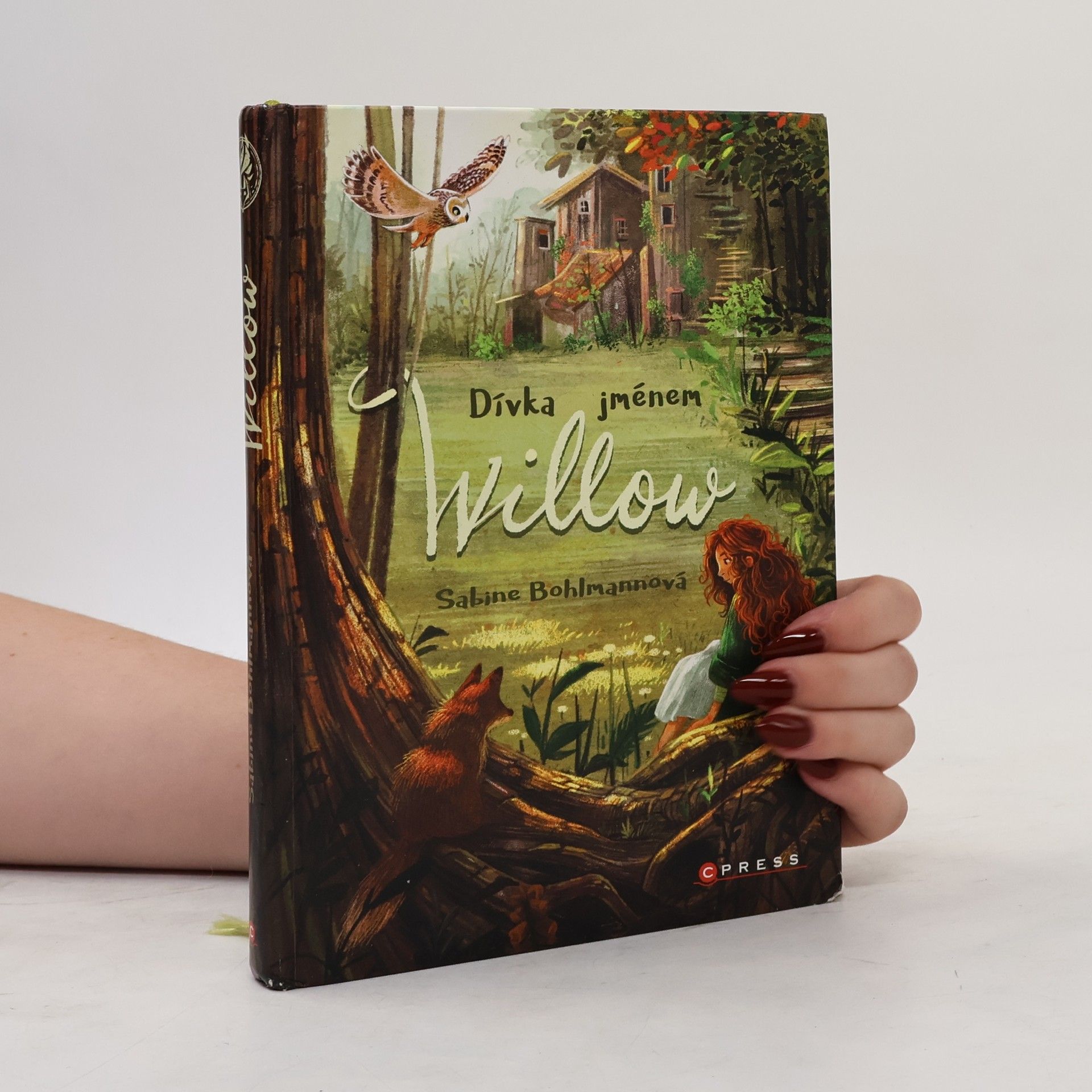 Sabine Bohlmann Dívka jménem Willow