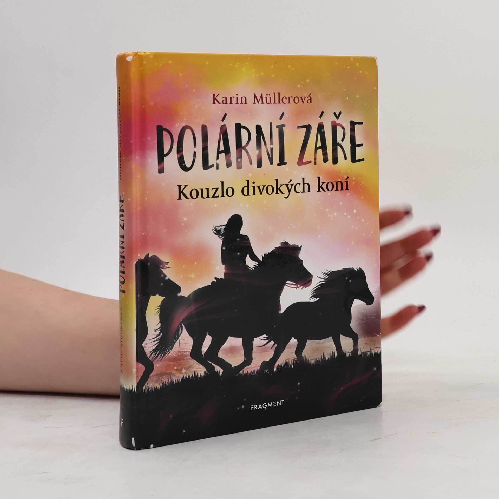 Polární záře - Kouzlo divokých koní