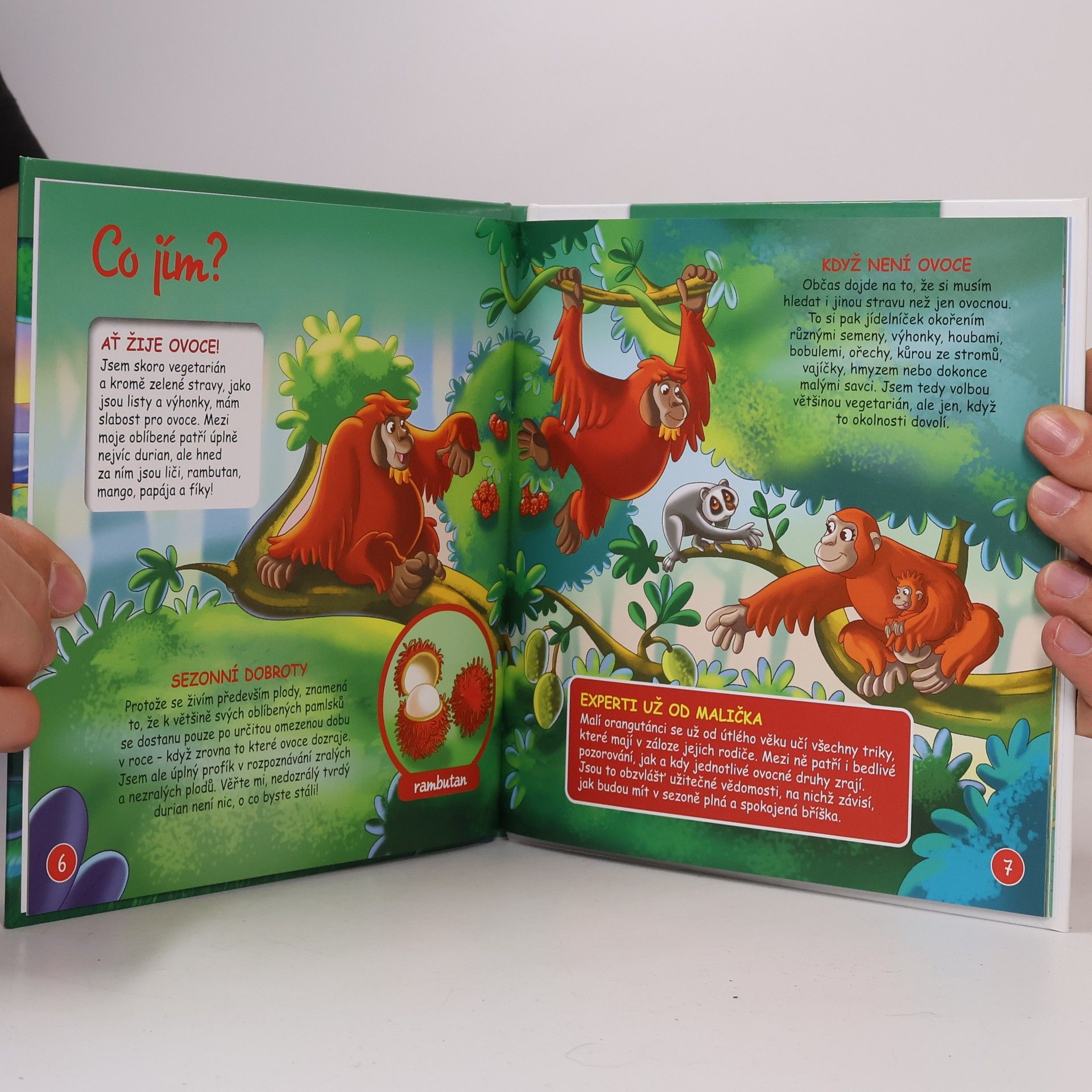 Autorenkollektiv Bydlím v lese 27. Orangutan bornejský