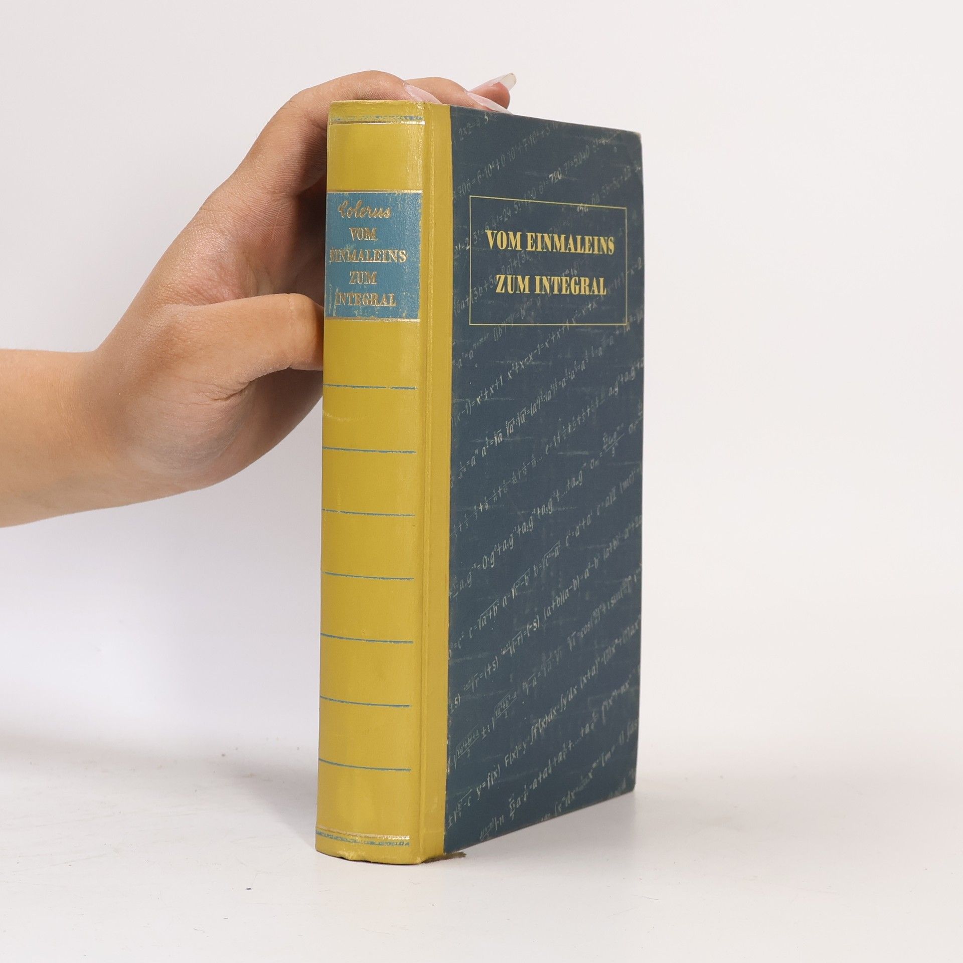 Collectif d'auteurs Vom Einmaleins zum Integral
