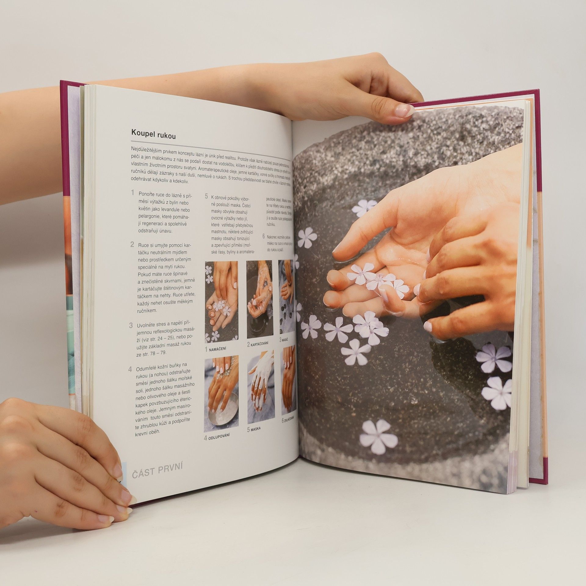 Leigh Toselli Kompletní průvodce manikúrou a pedikúrou