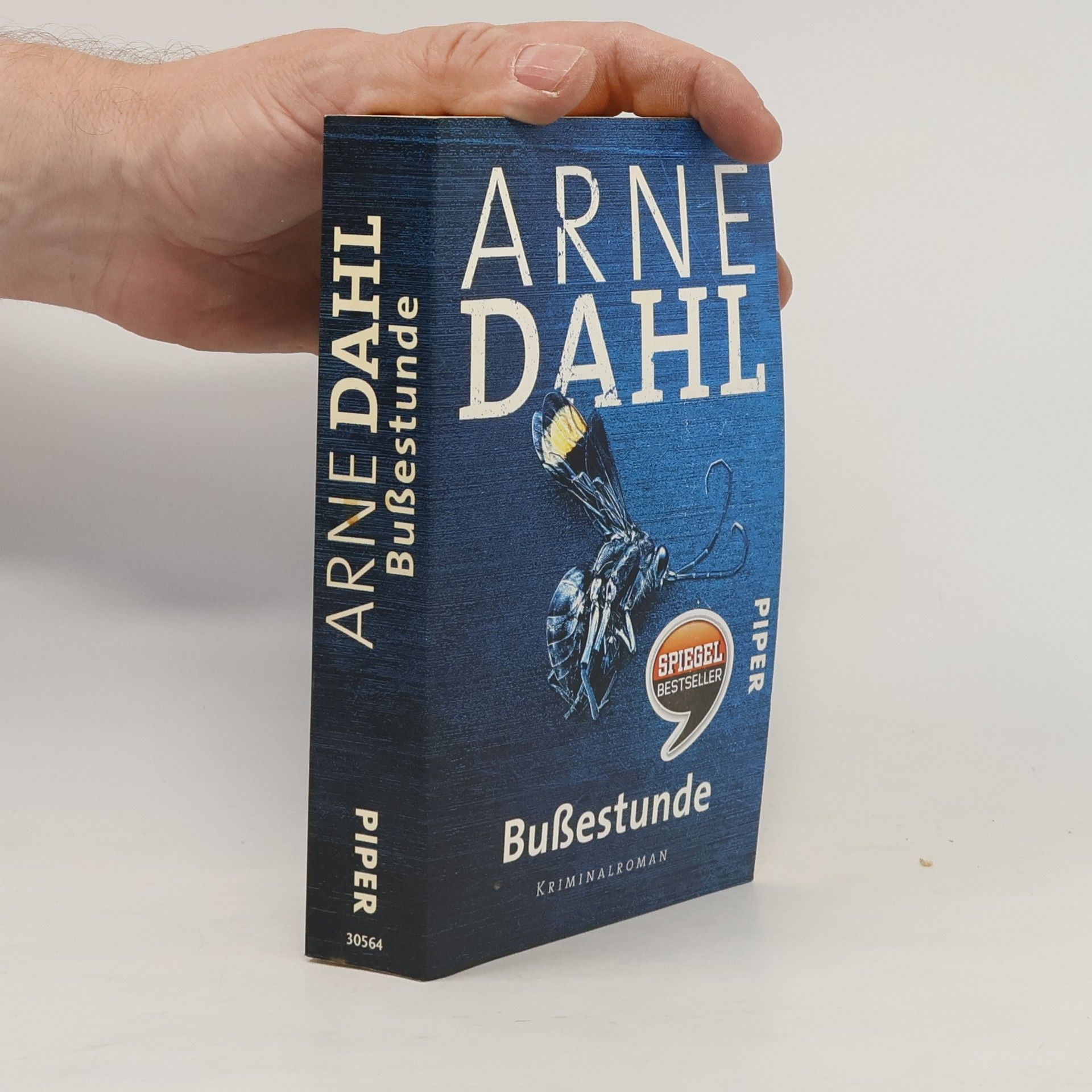 Arne Dahl Bußestunde