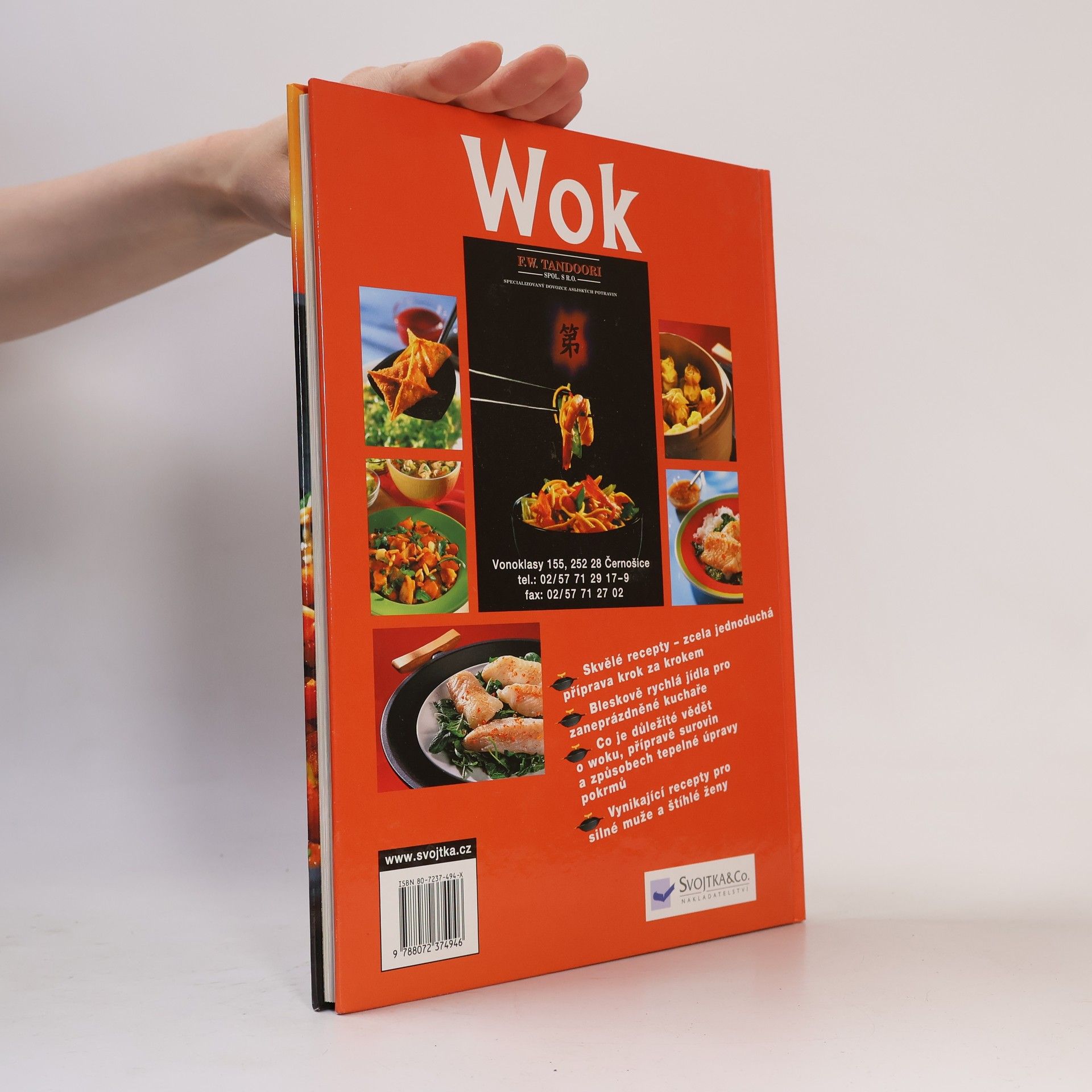 Angelika Ilies Wok snadno a rychle