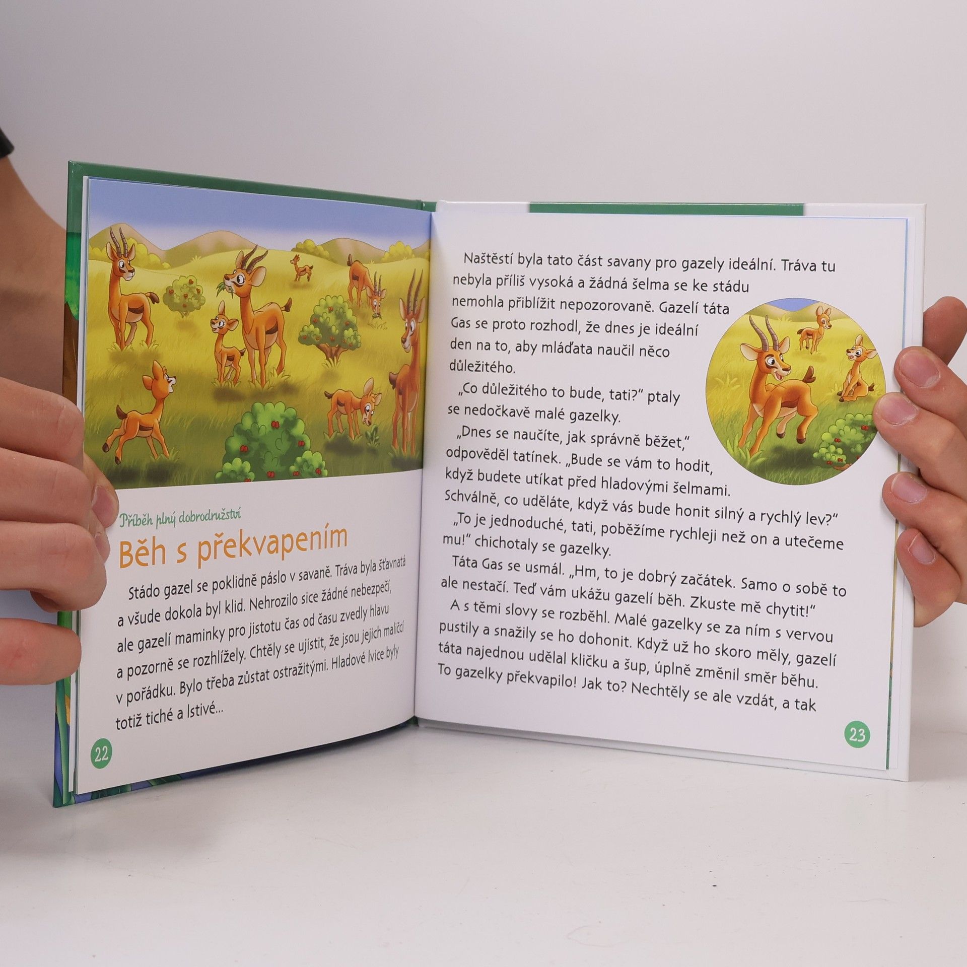 Autores varios Bydlím v lese 59. Monarcha Stěhovavý