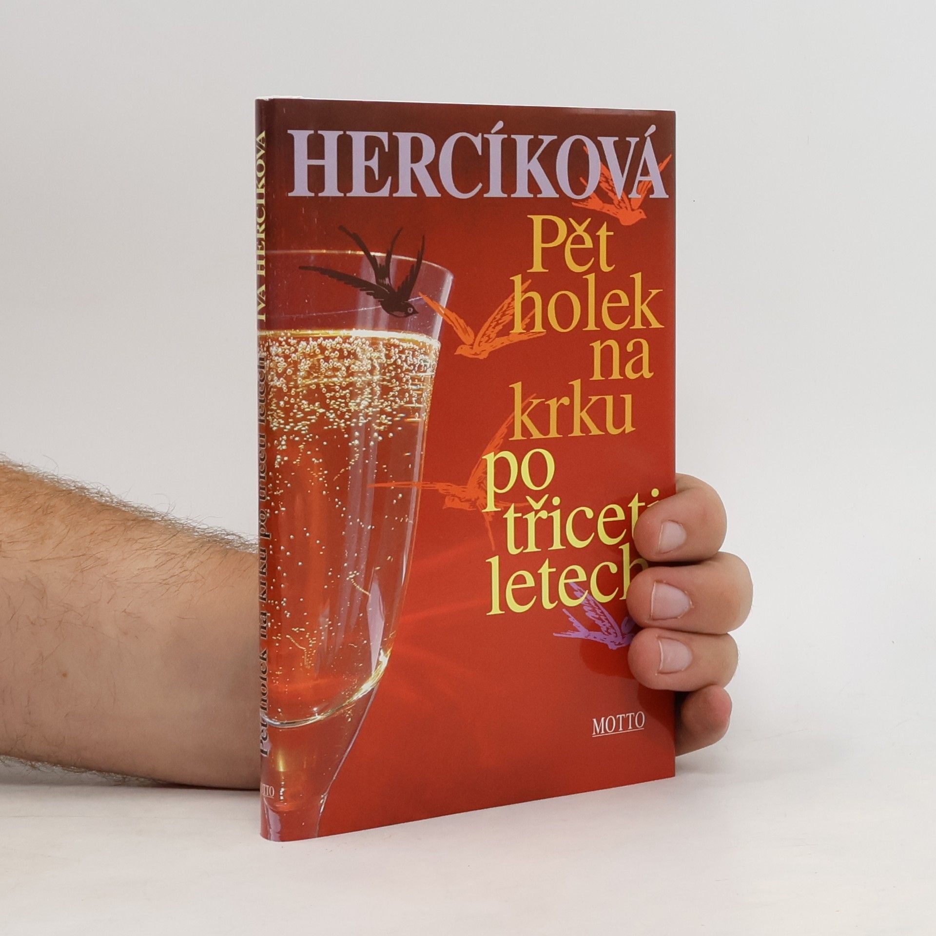 Iva Hercíková Pět holek na krku po třiceti letech