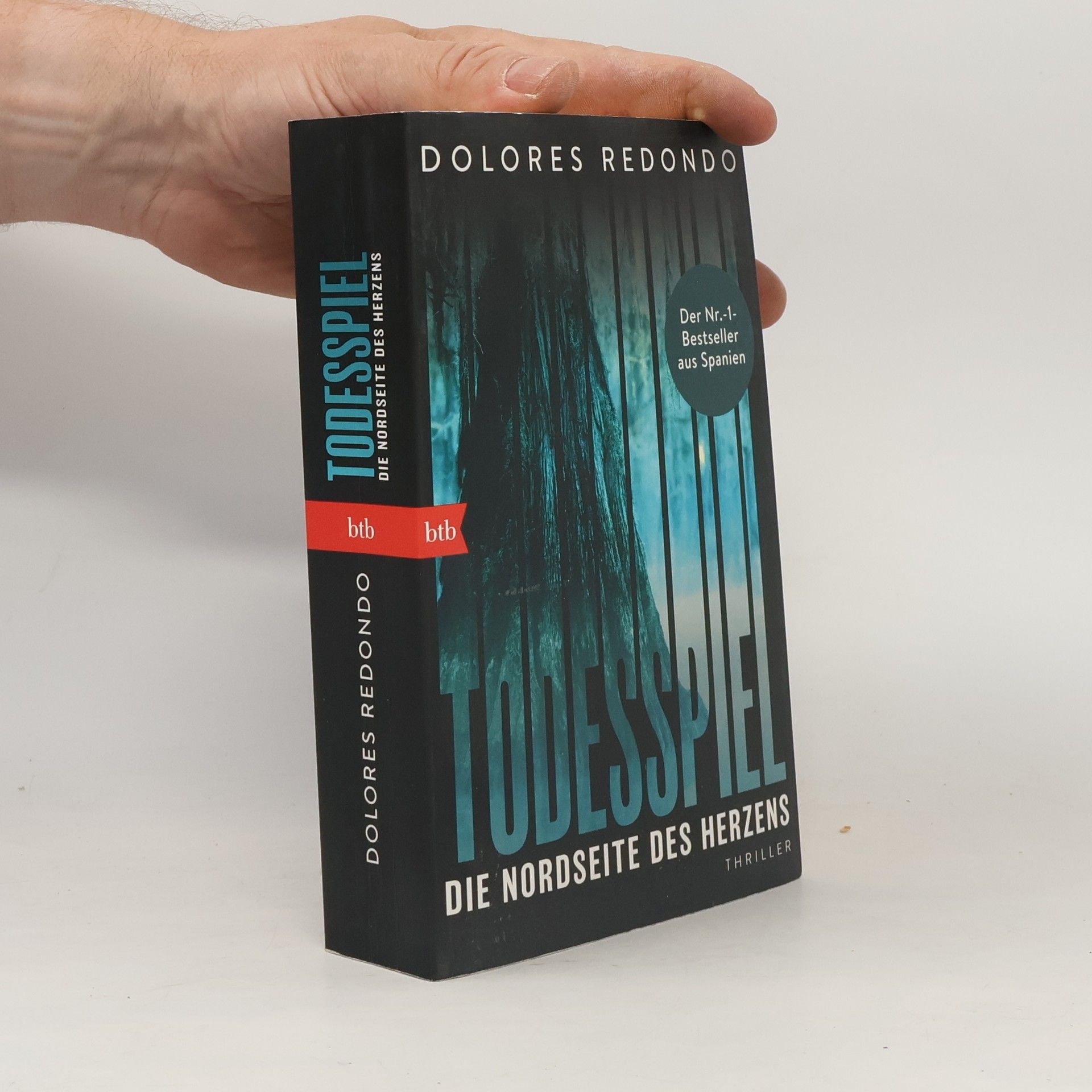 Dolores Redondo Todesspiel. Die Nordseite des Herzens
