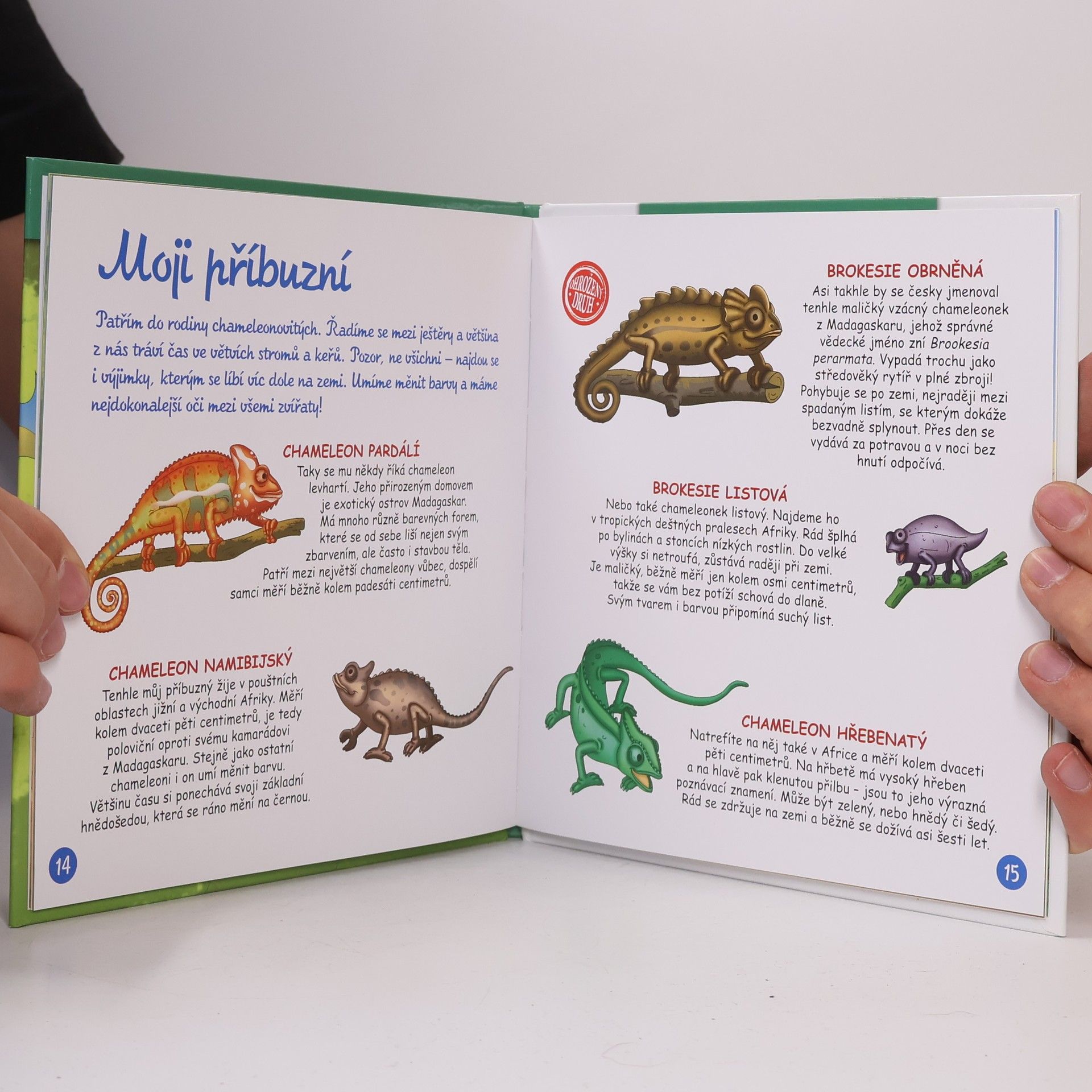 Autorenkollektiv Bydlím v lese 46. Chameleon