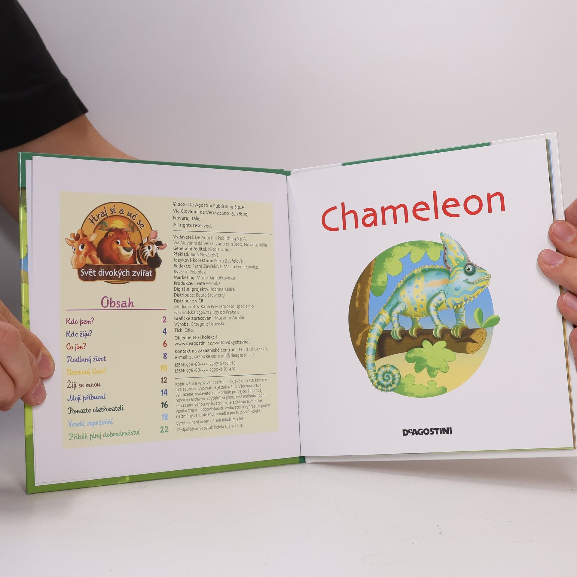 Autorenkollektiv Bydlím v lese 46. Chameleon