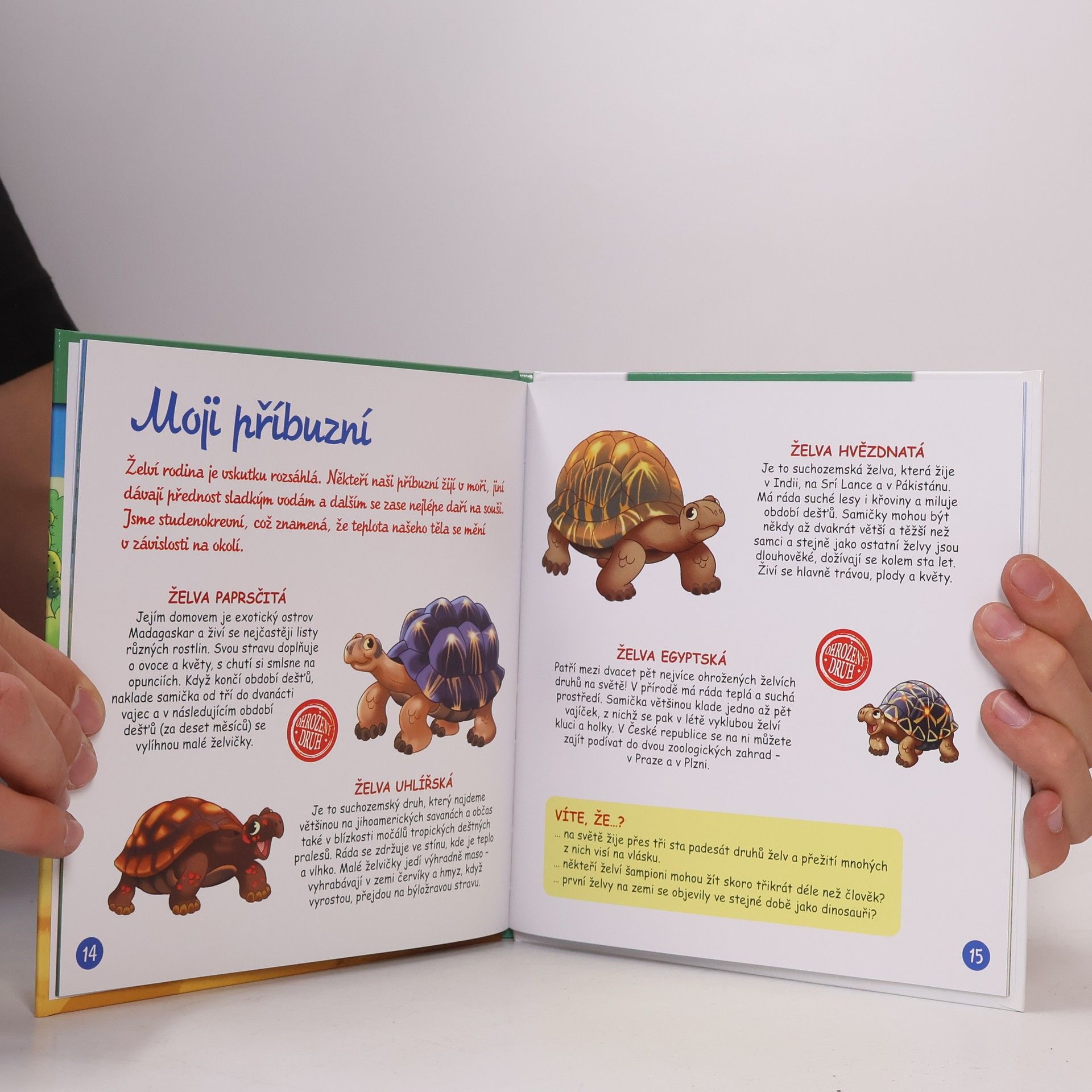 Autores varios Bydlím v lese 26. Želva sloní
