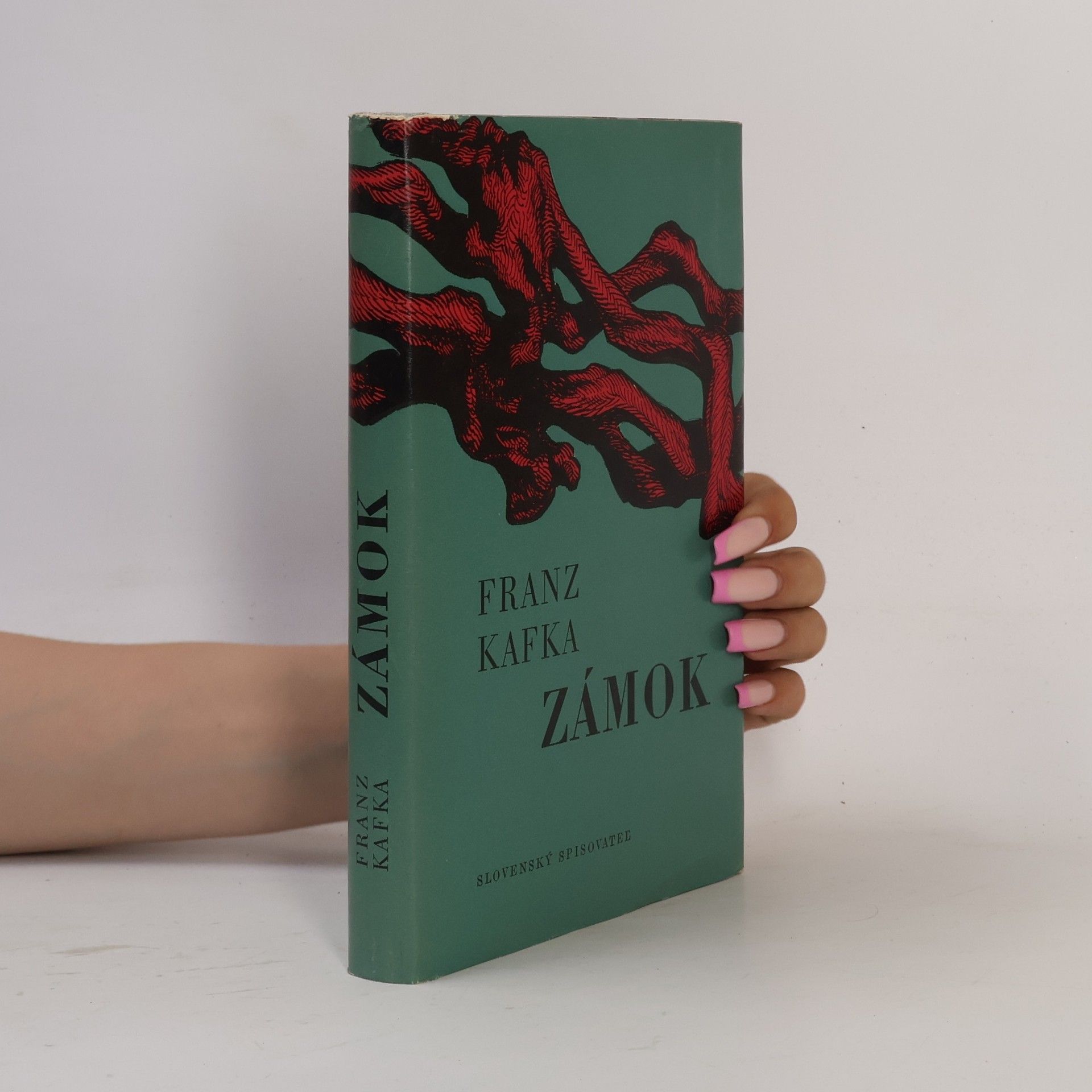 Franz Kafka Zámok