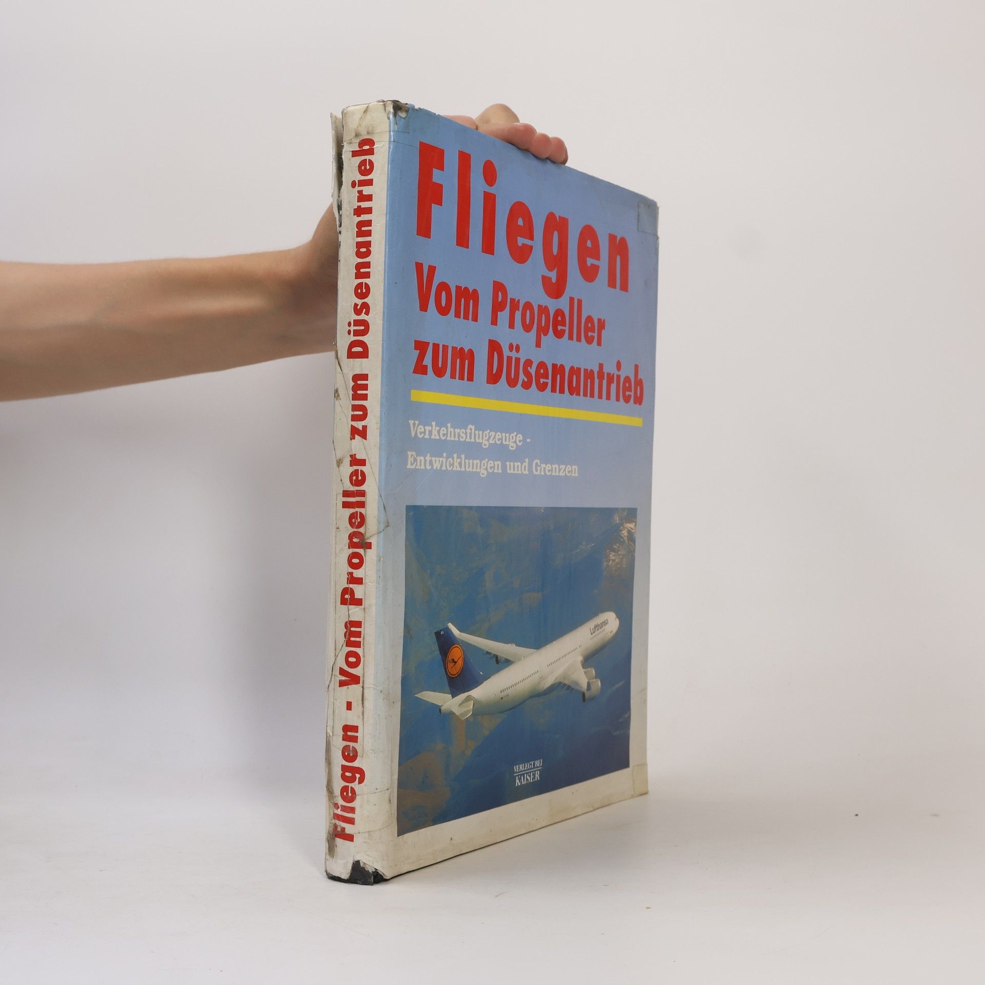Kolektiv autorů Fliegen