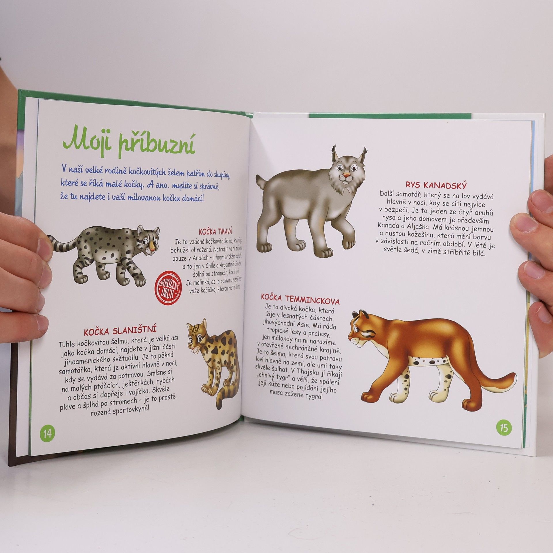 Various authors Bydlím v lese 34. Puma