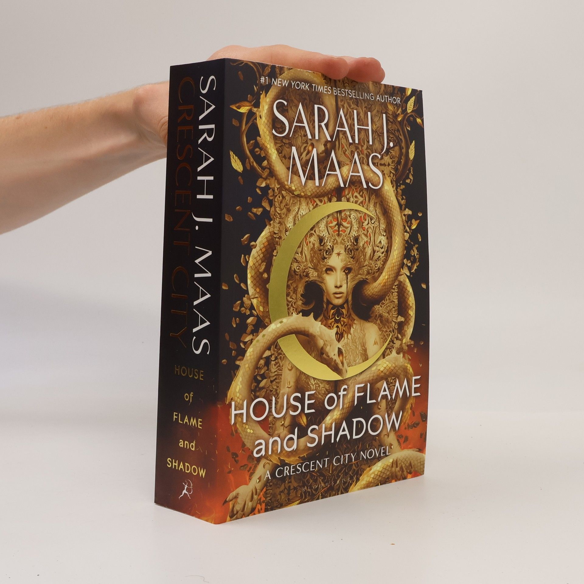Sarah J. Maas House of Flame and Shadow