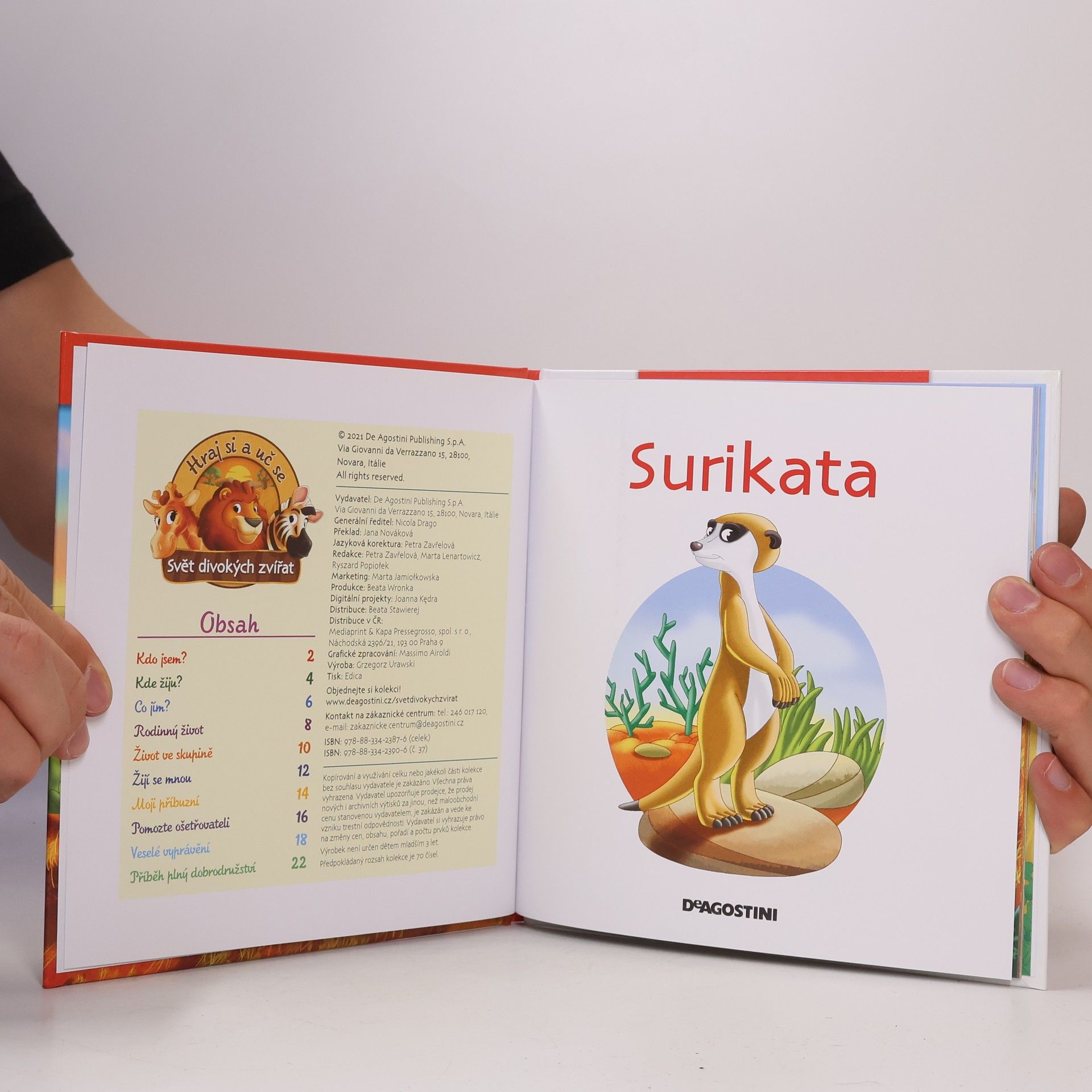 Auteurscollectief Bydlím v Savaně 37. Surikata