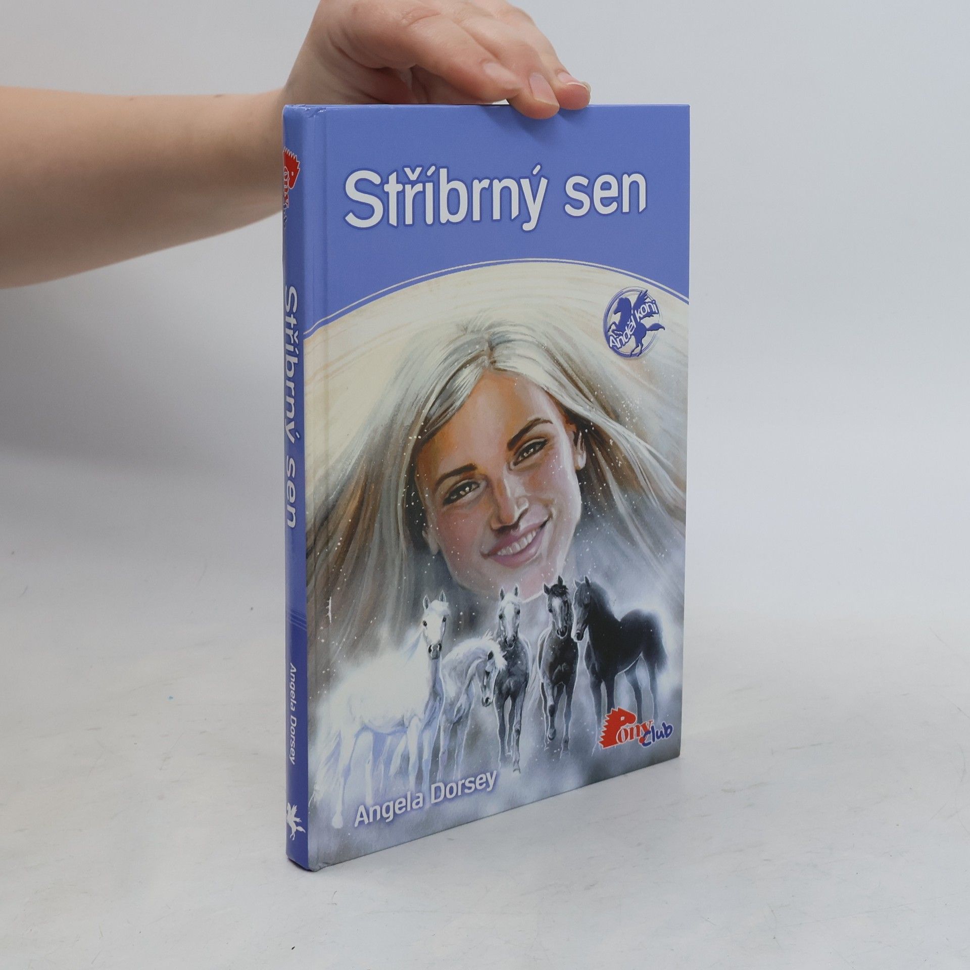 Angela Dorsey Stříbrný sen
