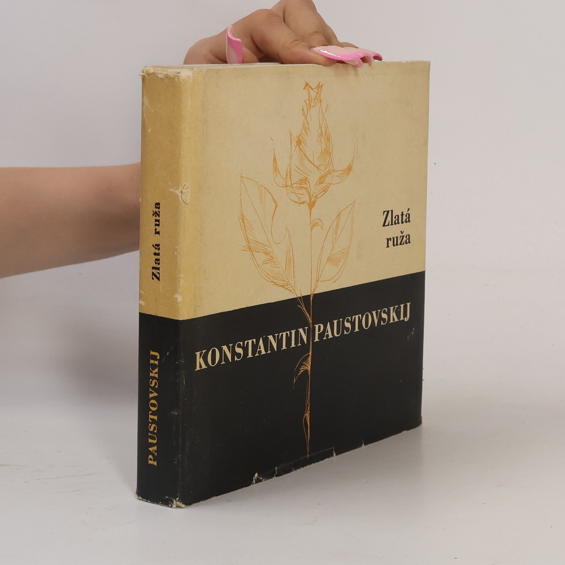 Konstantin Paustovsky Zlatá ruža
