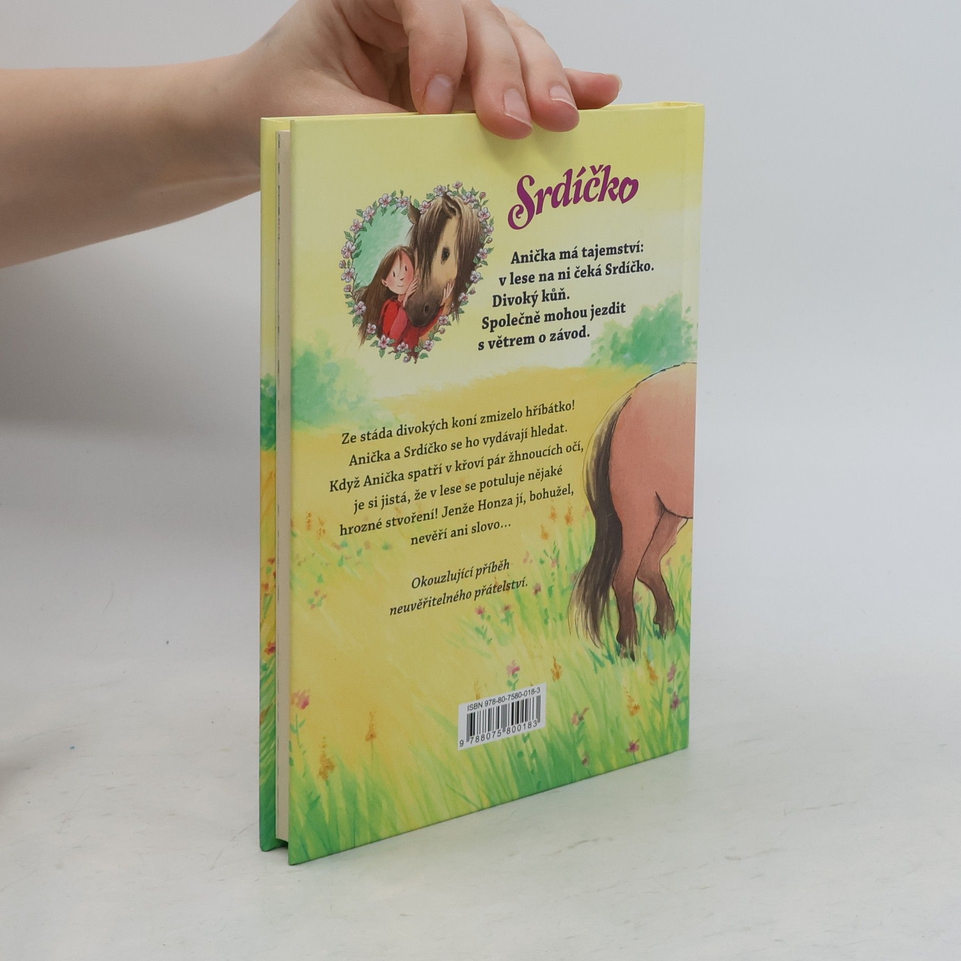 Usch Luhn Srdíčko - Anička zachraňuje hříbátko