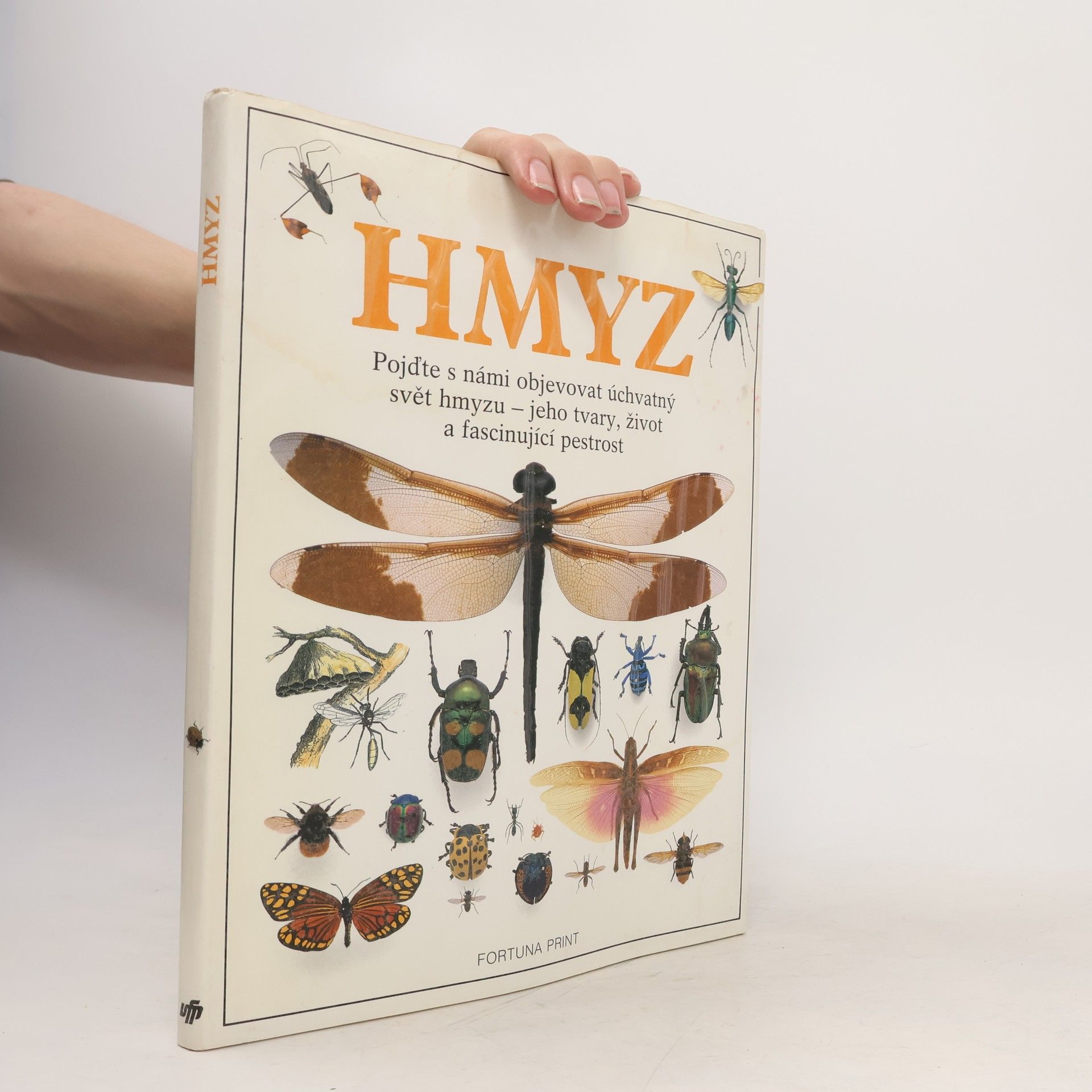 Hmyz