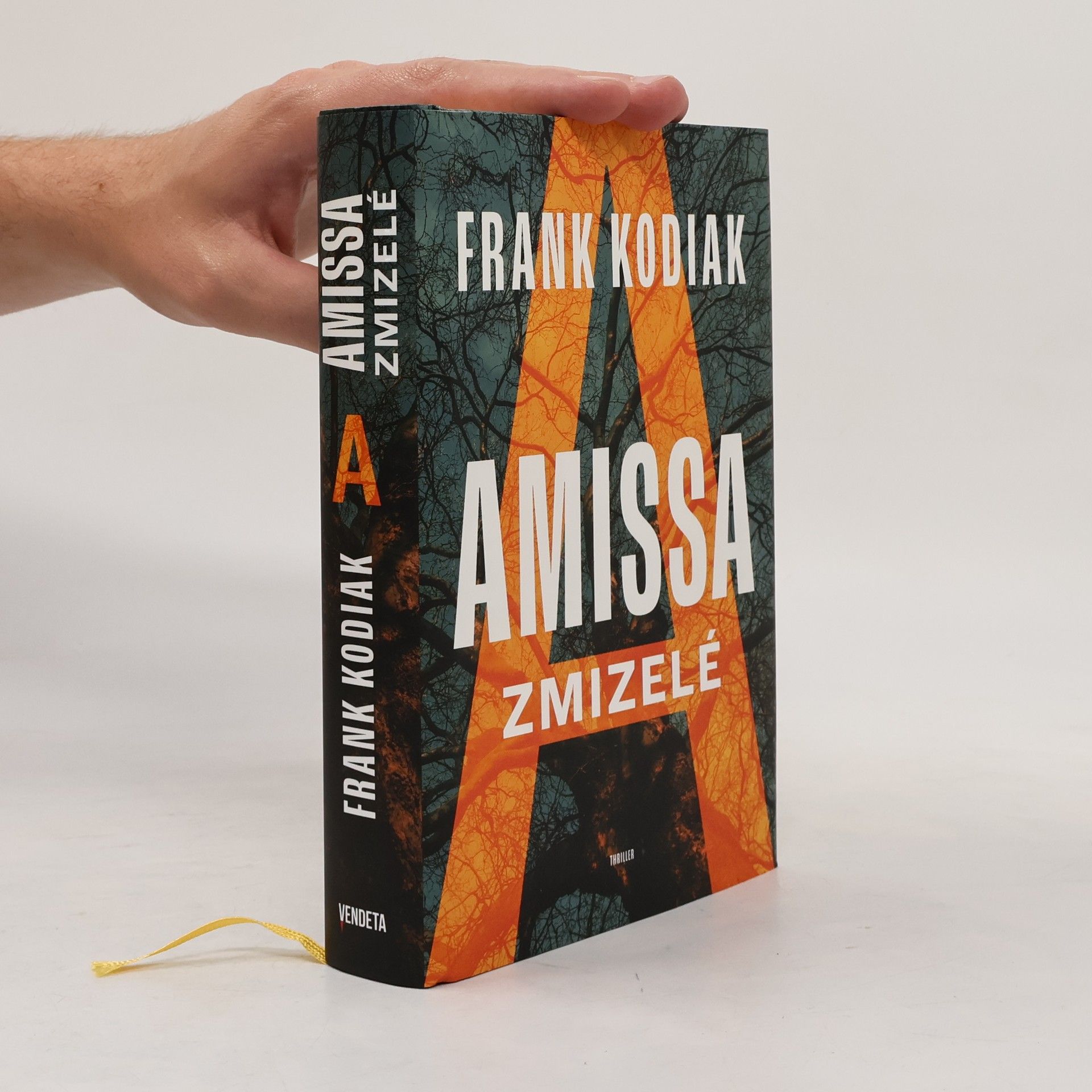 Hendrik Winter Amissa. Zmizelé