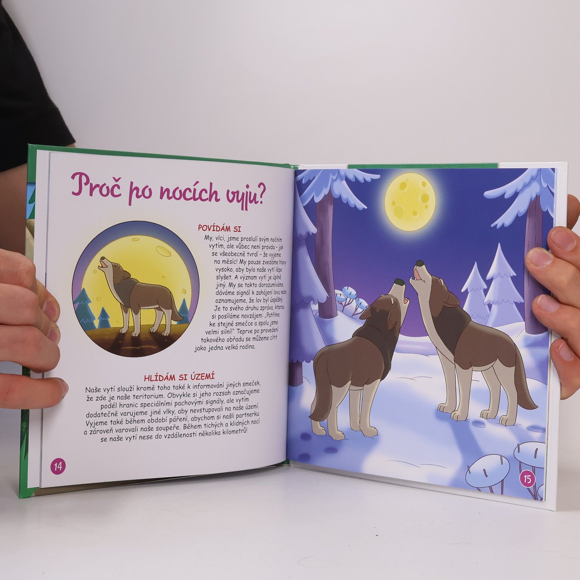 Kolektiv autorů Bydlím v lese 3. Vlk