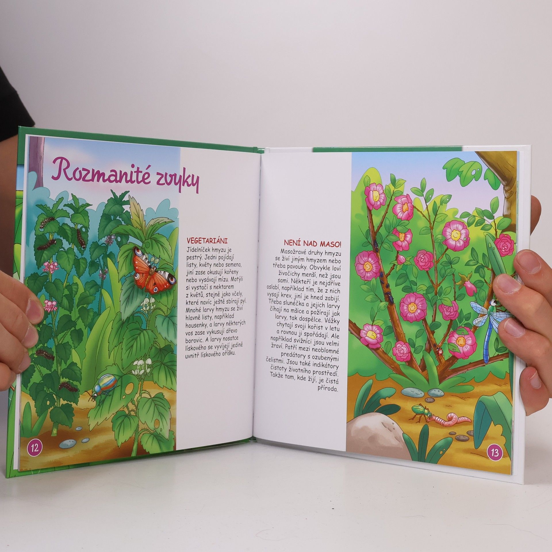 Autores varios Bydlím v lese 63. Hmyz
