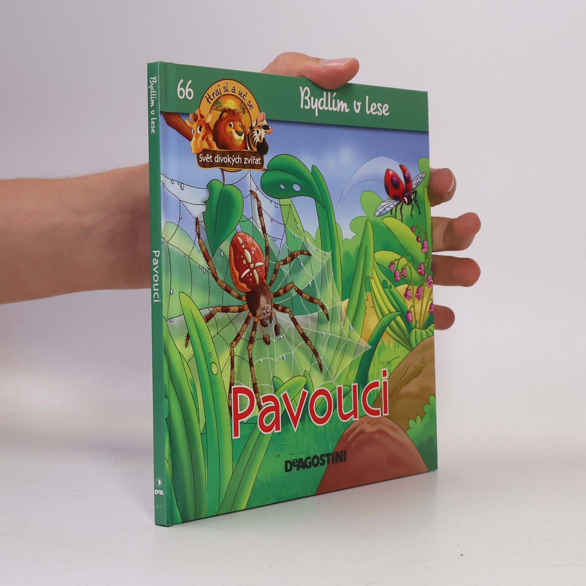 Kolektiv autorů Bydlím v lese 66. Pavouci