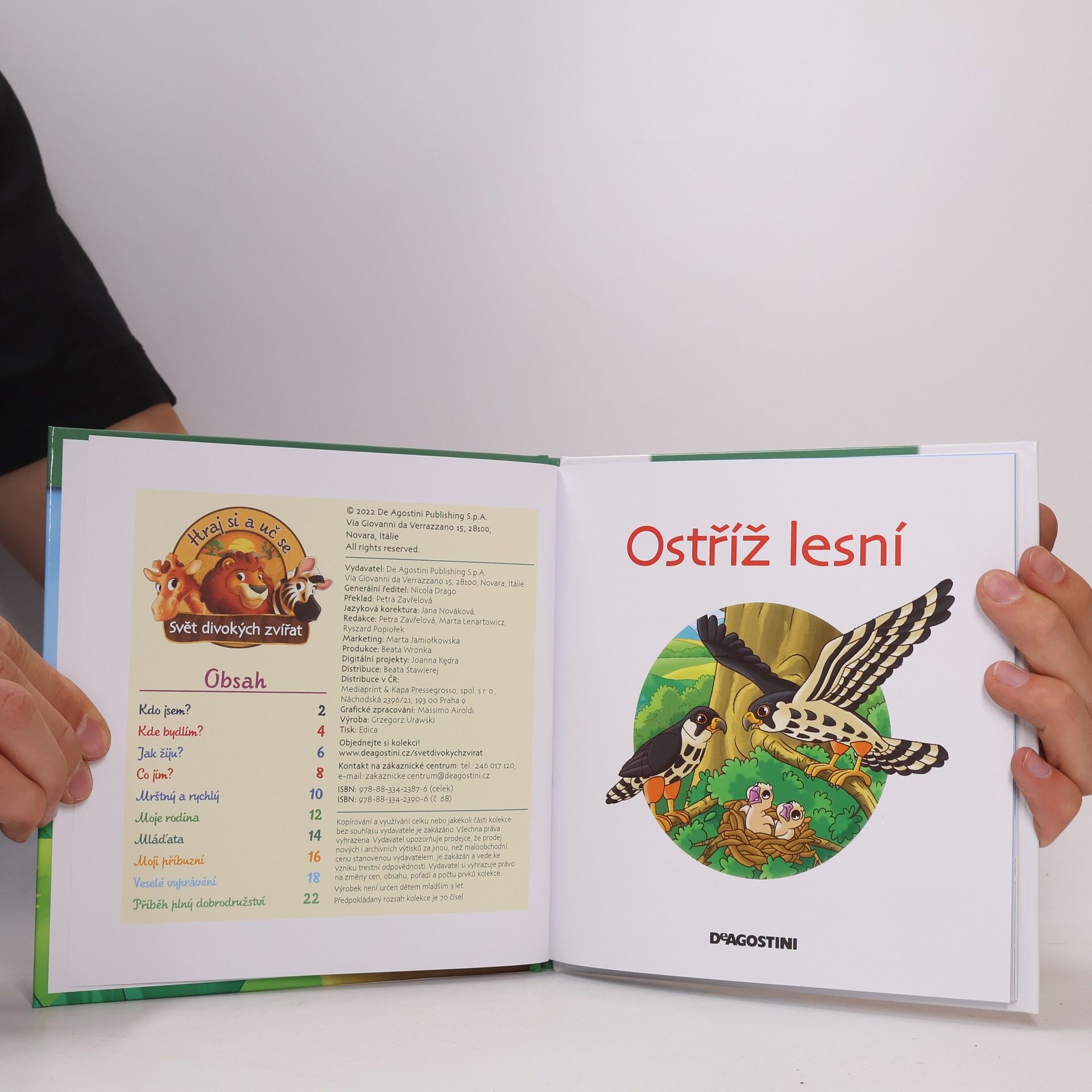 Autorenkollektiv Bydlim v lese 68. Ostříž lesní