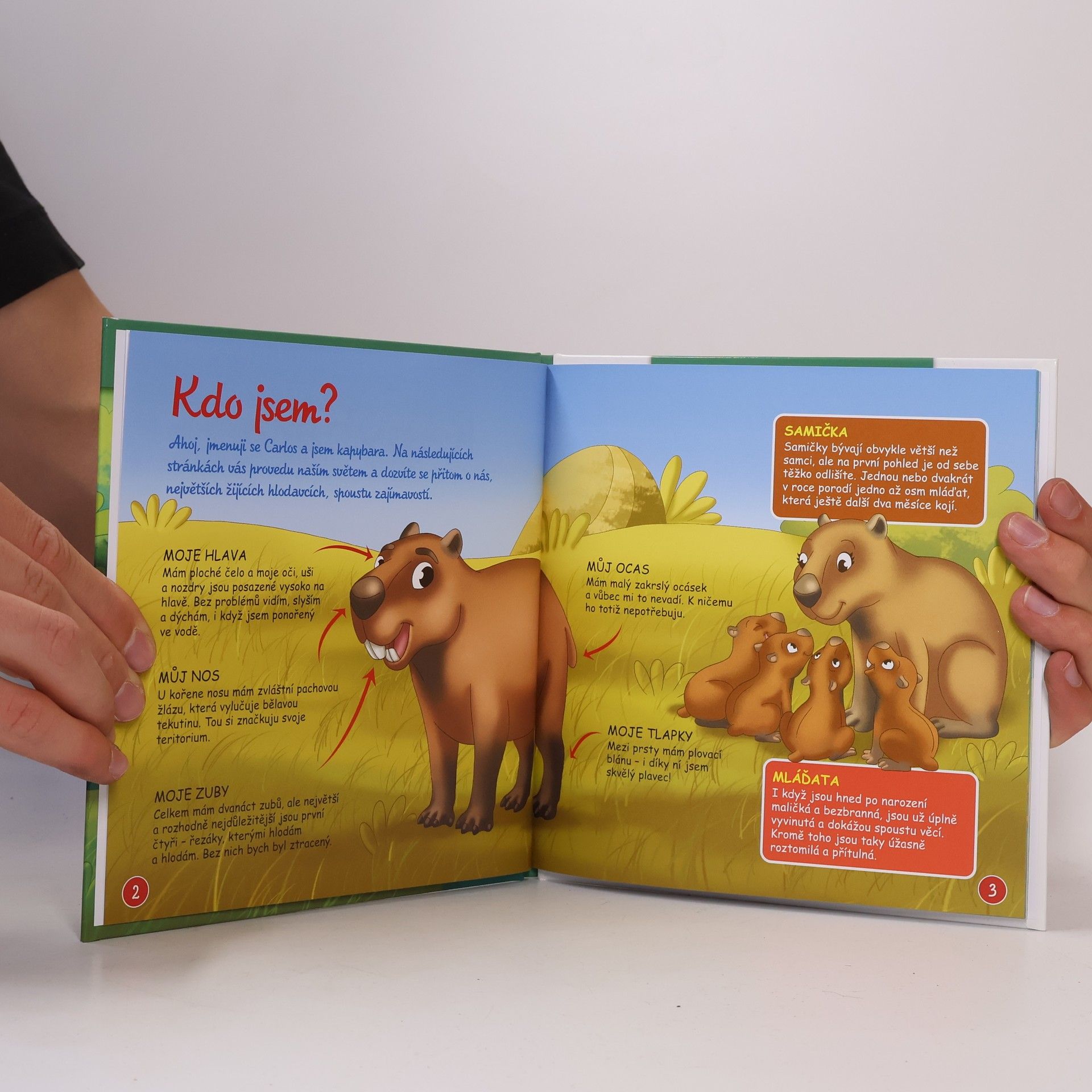 Autores varios Bydlím v lese 38. Kapybara