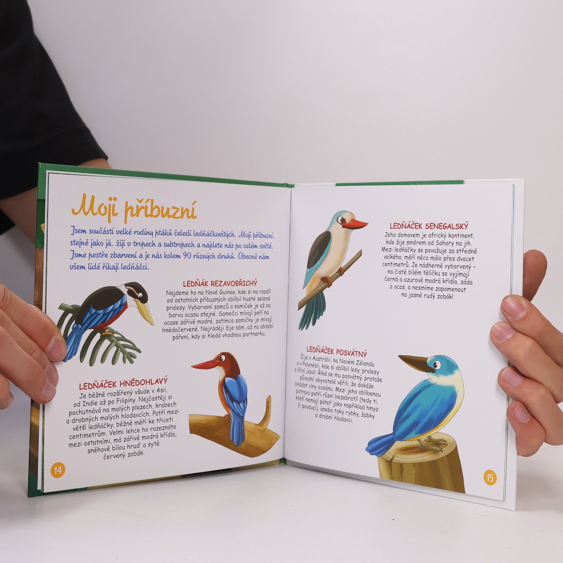Autores varios Bydlím v lese 43. Ledňák obrovský
