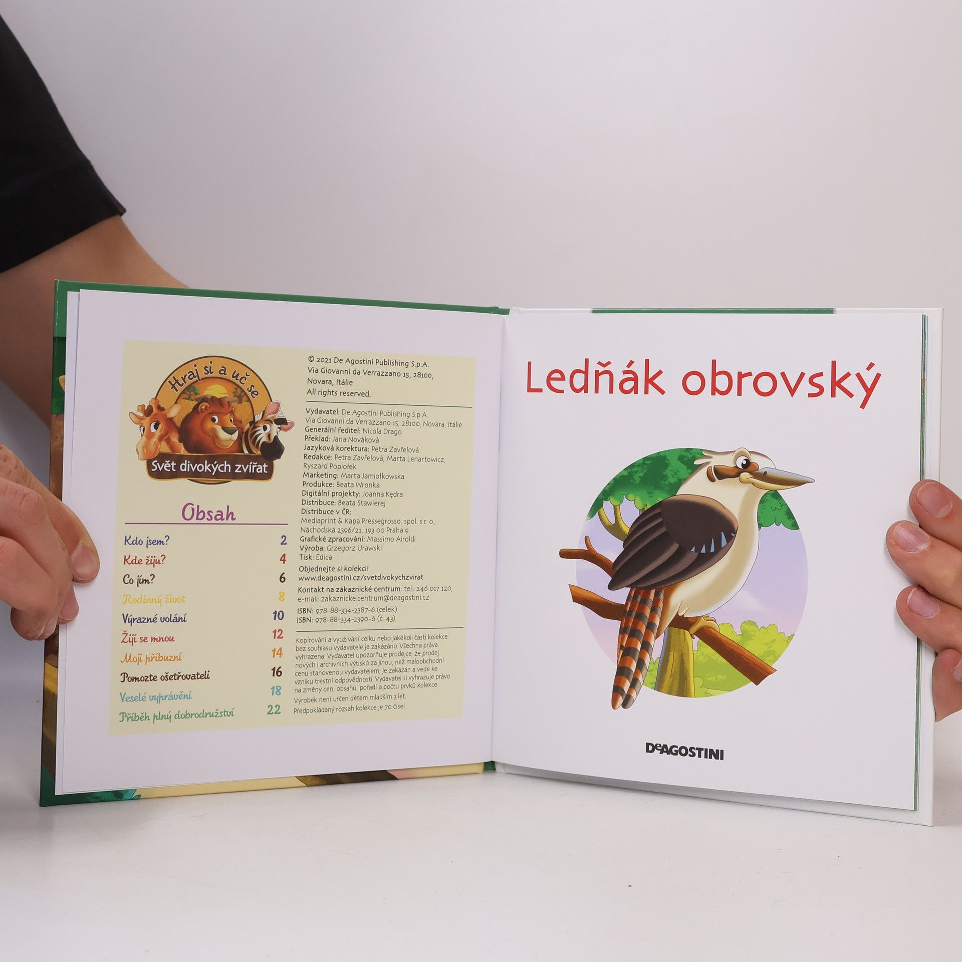 Autores varios Bydlím v lese 43. Ledňák obrovský