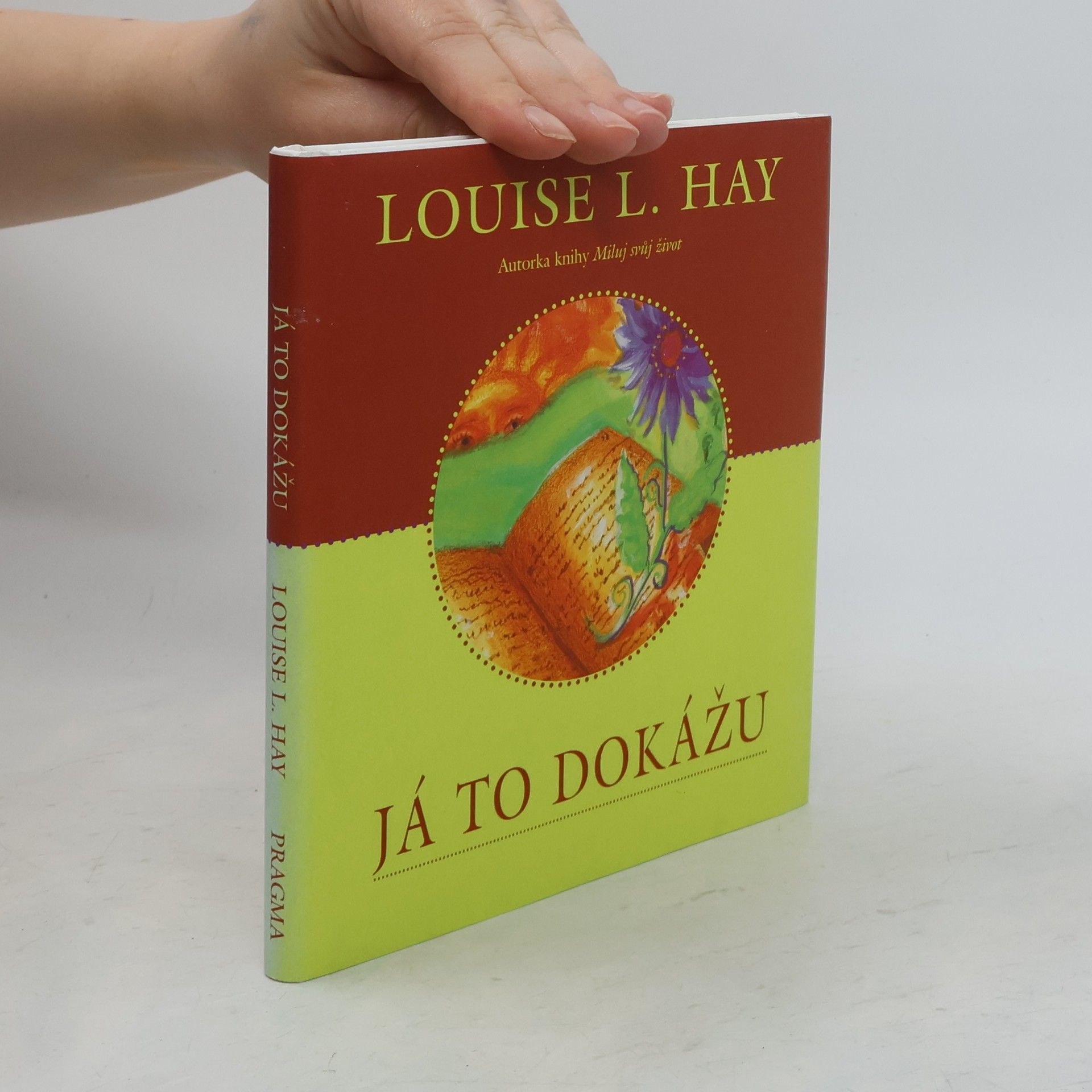 Lousie L. Hay Já to dokážu