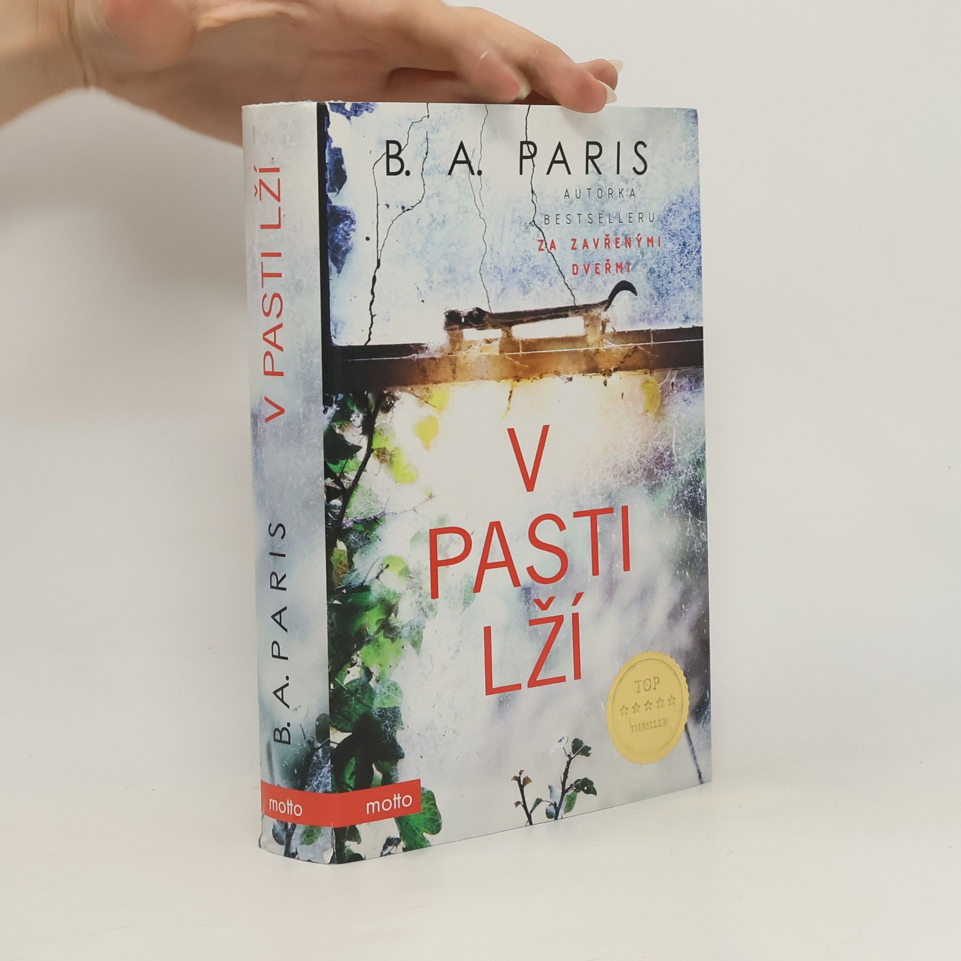 B.A. Paris V pasti lží