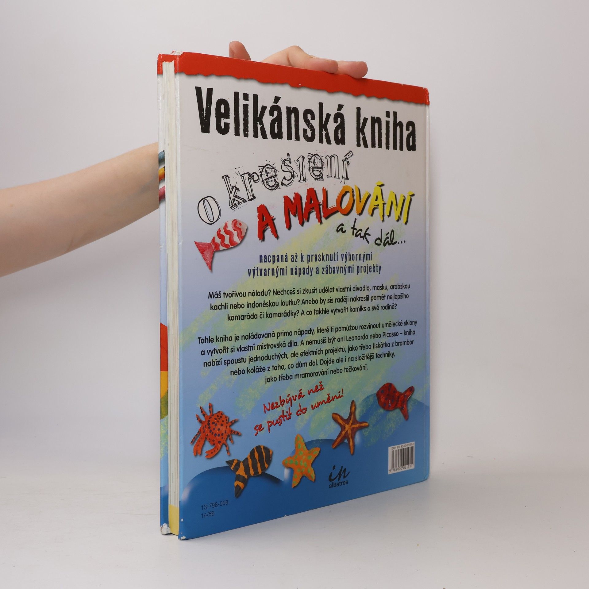 Sue Nicholson Velikánská kniha o kreslení a malování a tak dál--