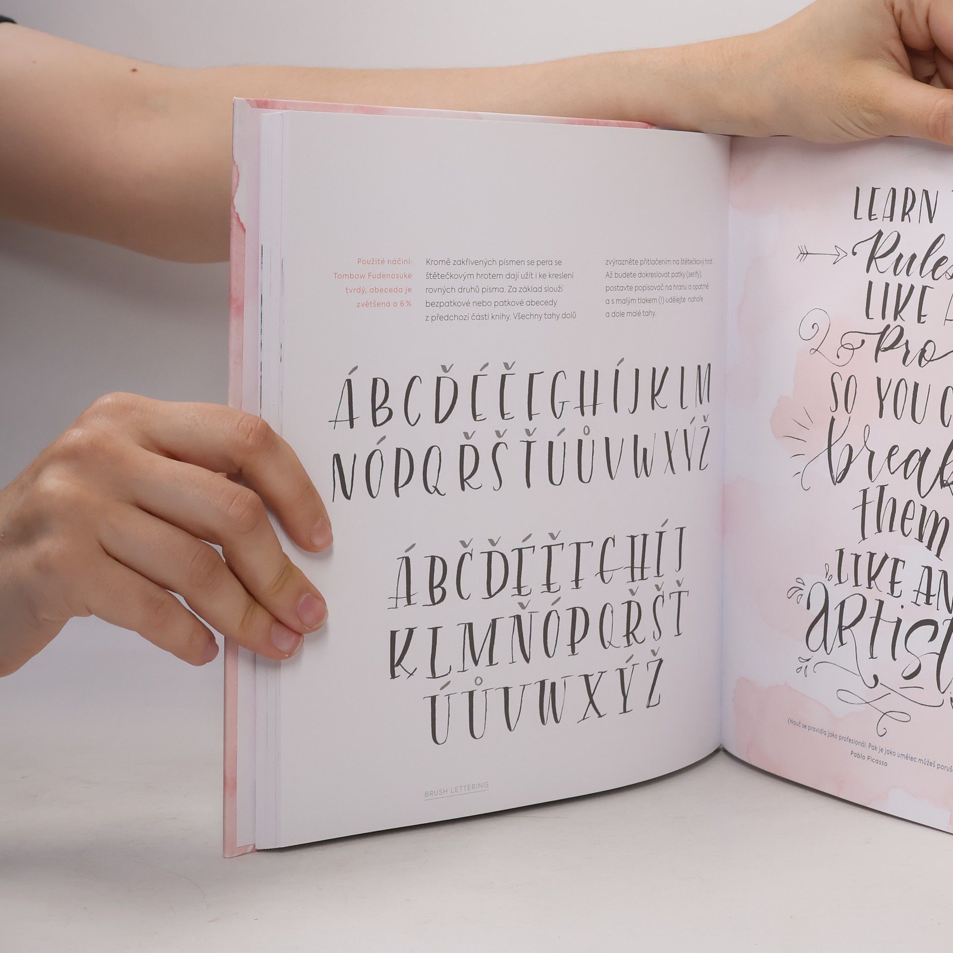 Tanja Cappell Abeceda krasopsaní : základy letteringu krok za krokem