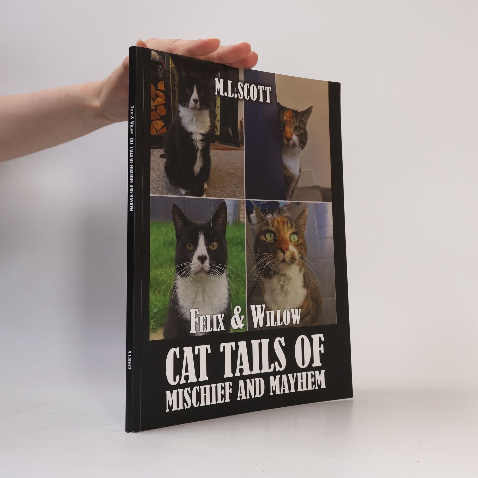 M. L. Scott Felix & Willow Cat Tails of Mischief and Mayhem
