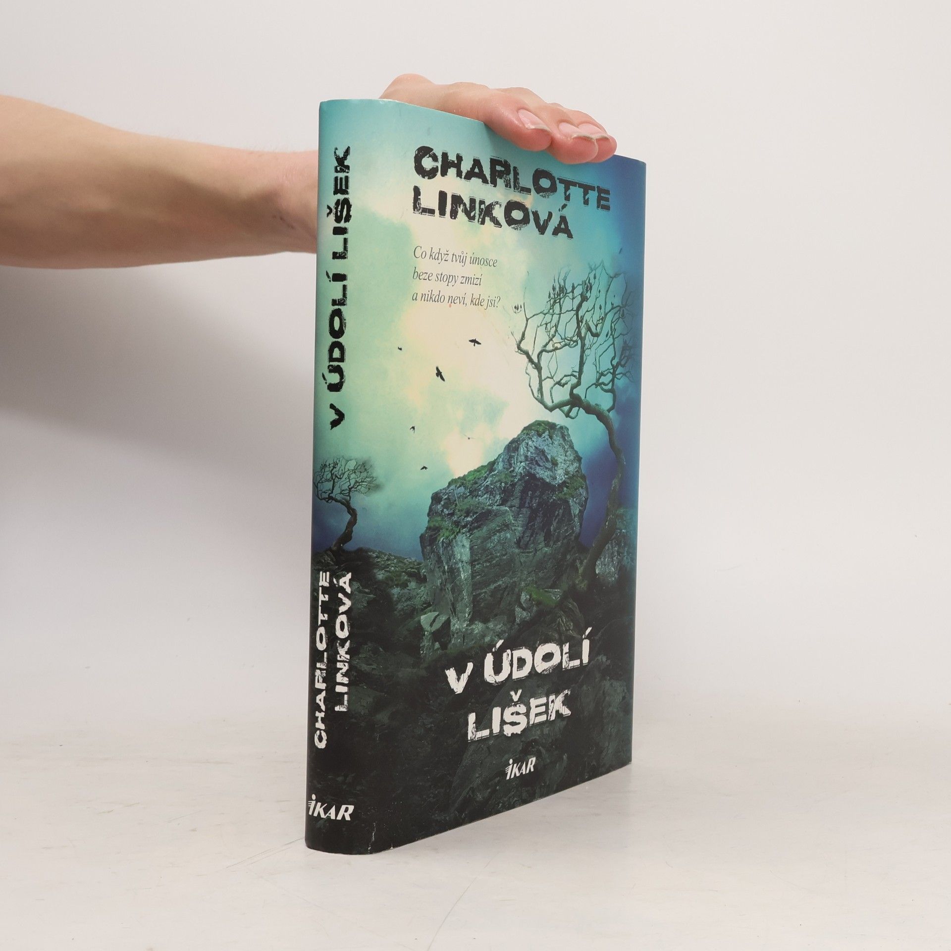Charlotte Link V údolí lišek