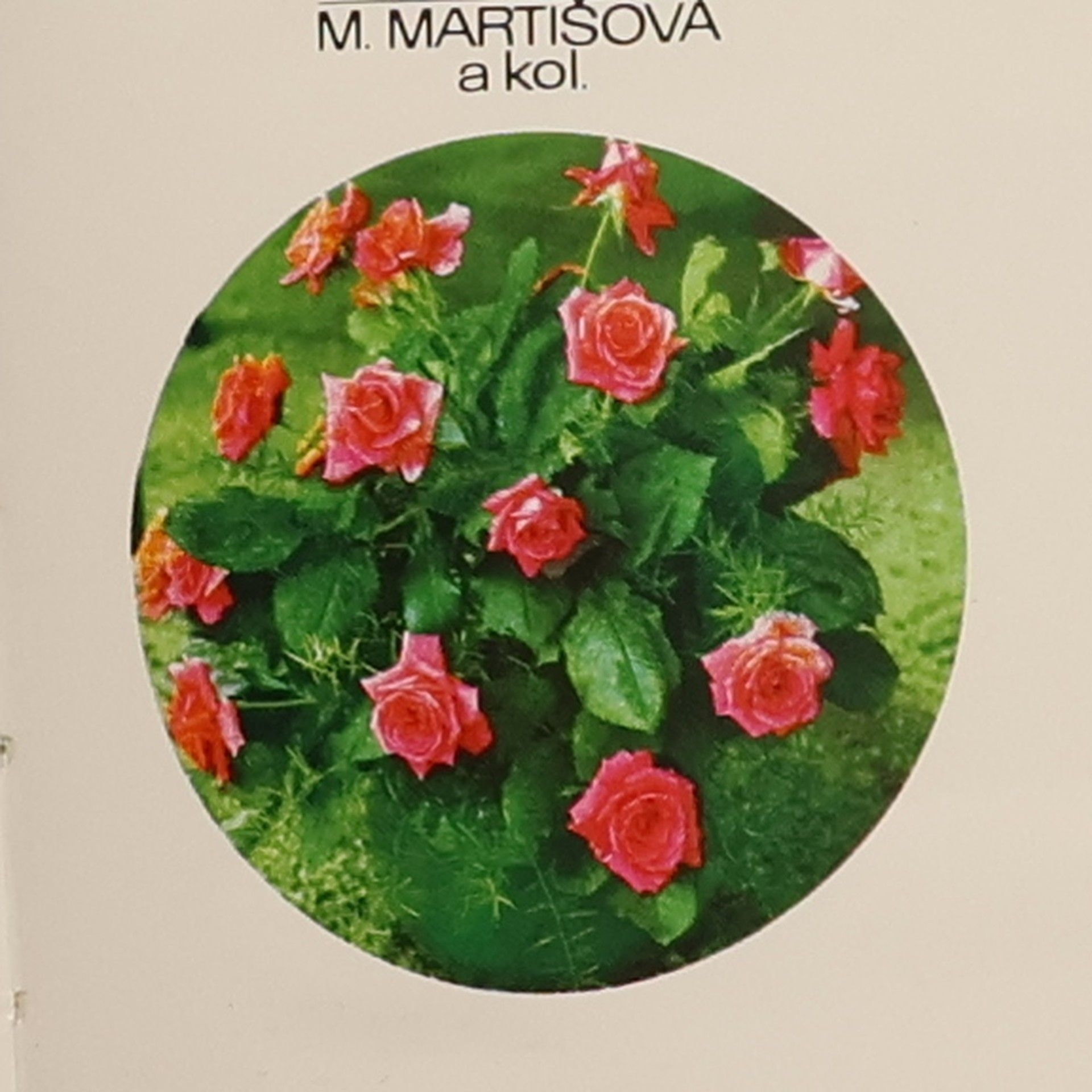 Mária Martišová Květiny. Moje záliba