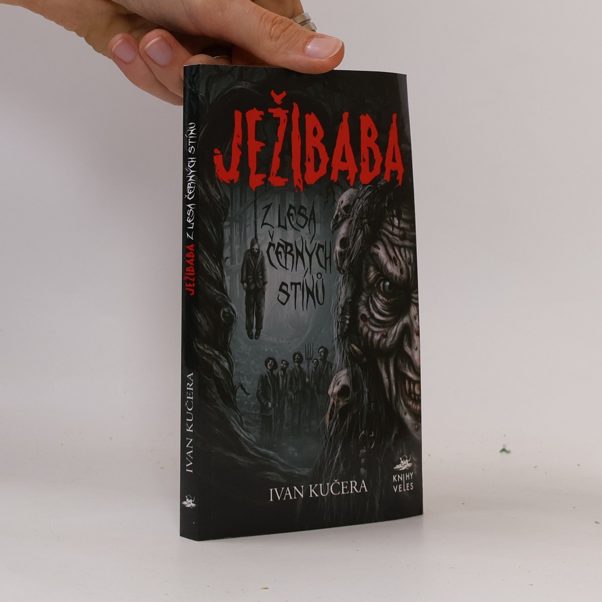 Ivan Kučera Ježibaba z Lesa černých stínů