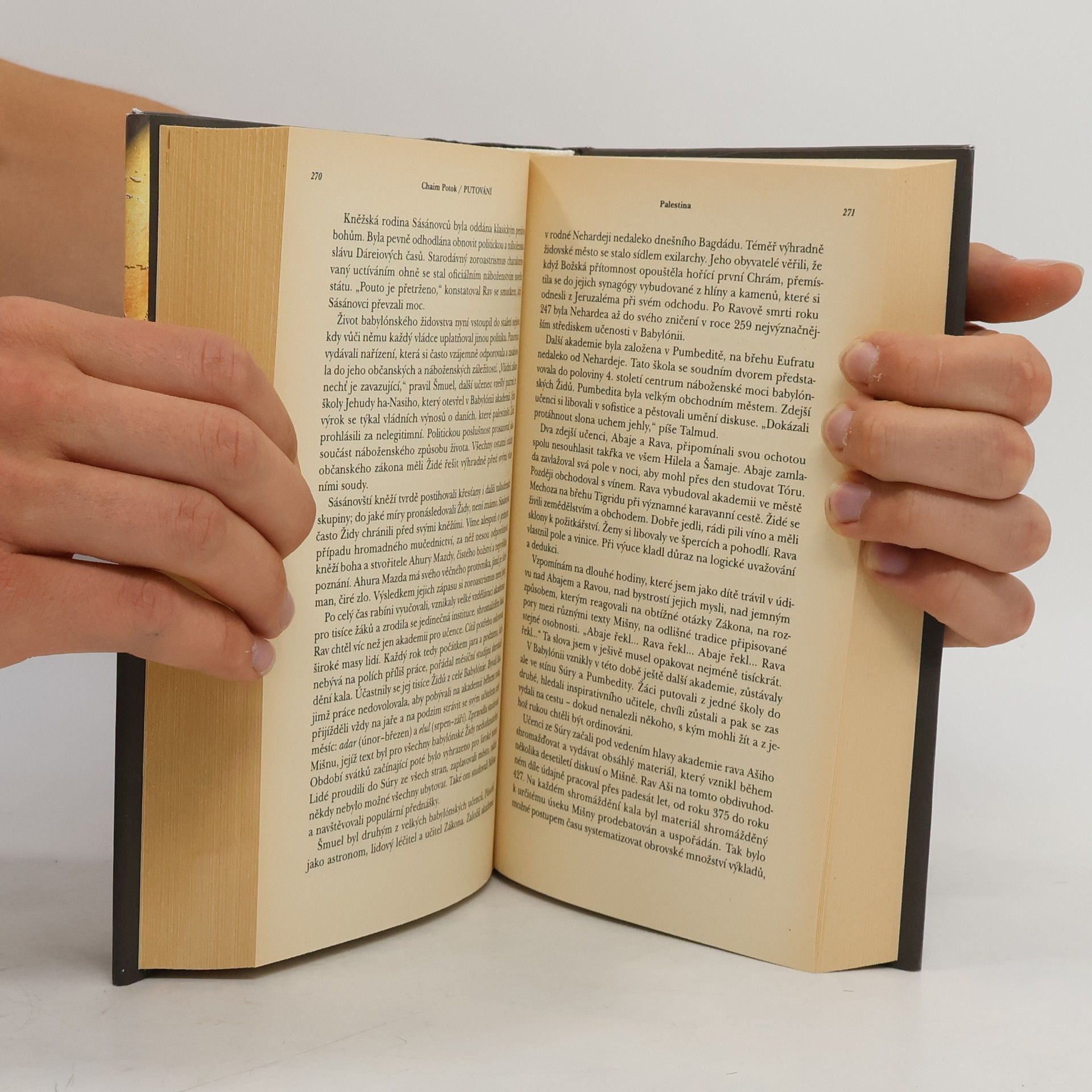 Chaim Potok Putování : dějiny Židů