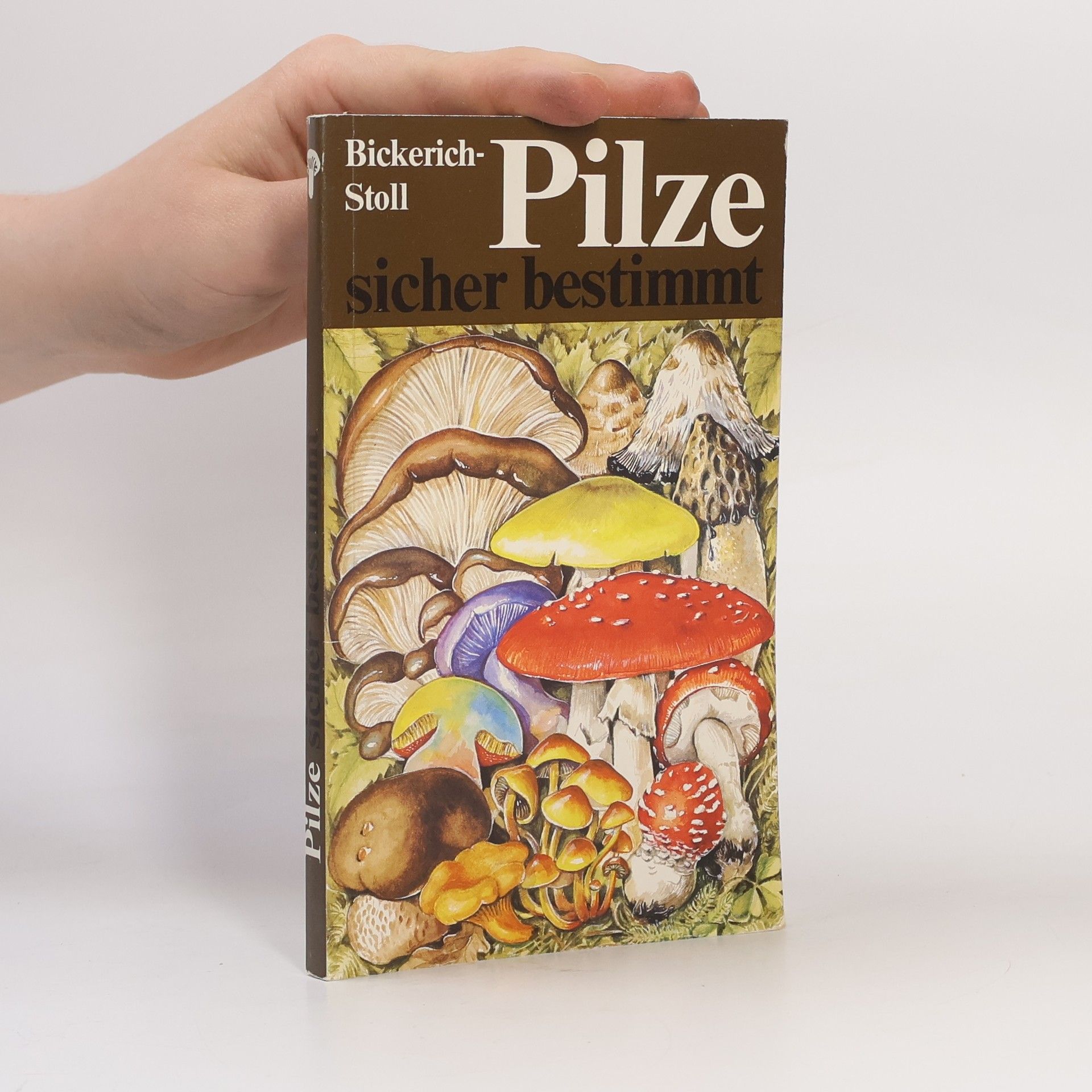 Katharina Bickerich Stoll Pilze sicher bestimmt