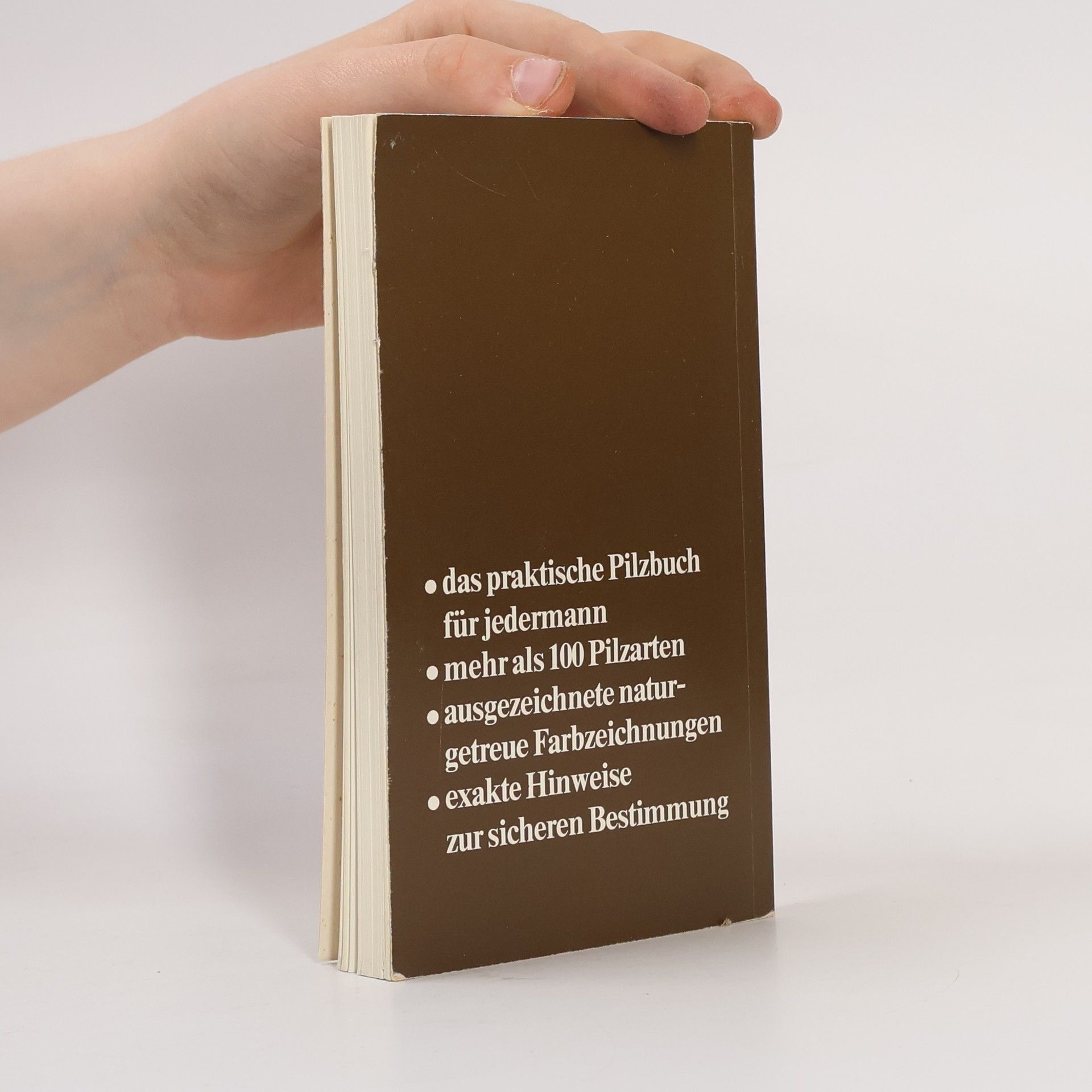 Katharina Bickerich Stoll Pilze sicher bestimmt