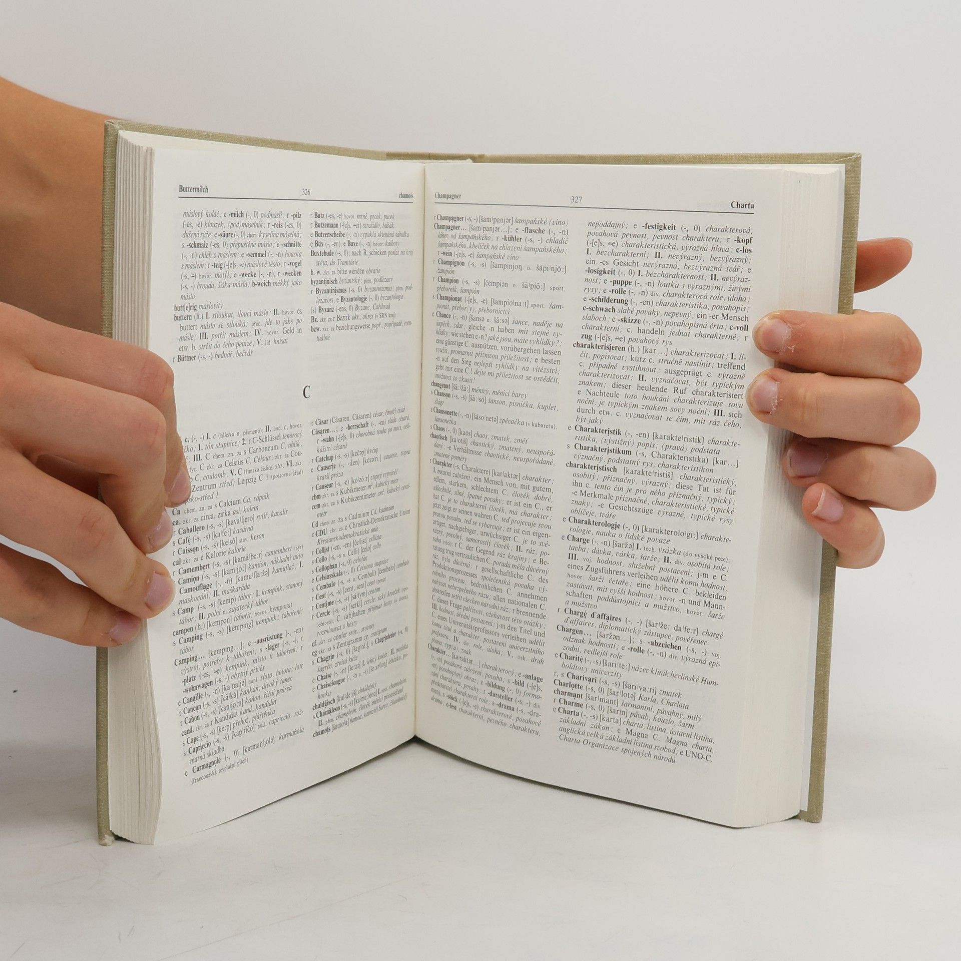 Autorenkollektiv Německo-český slovník I. A-L