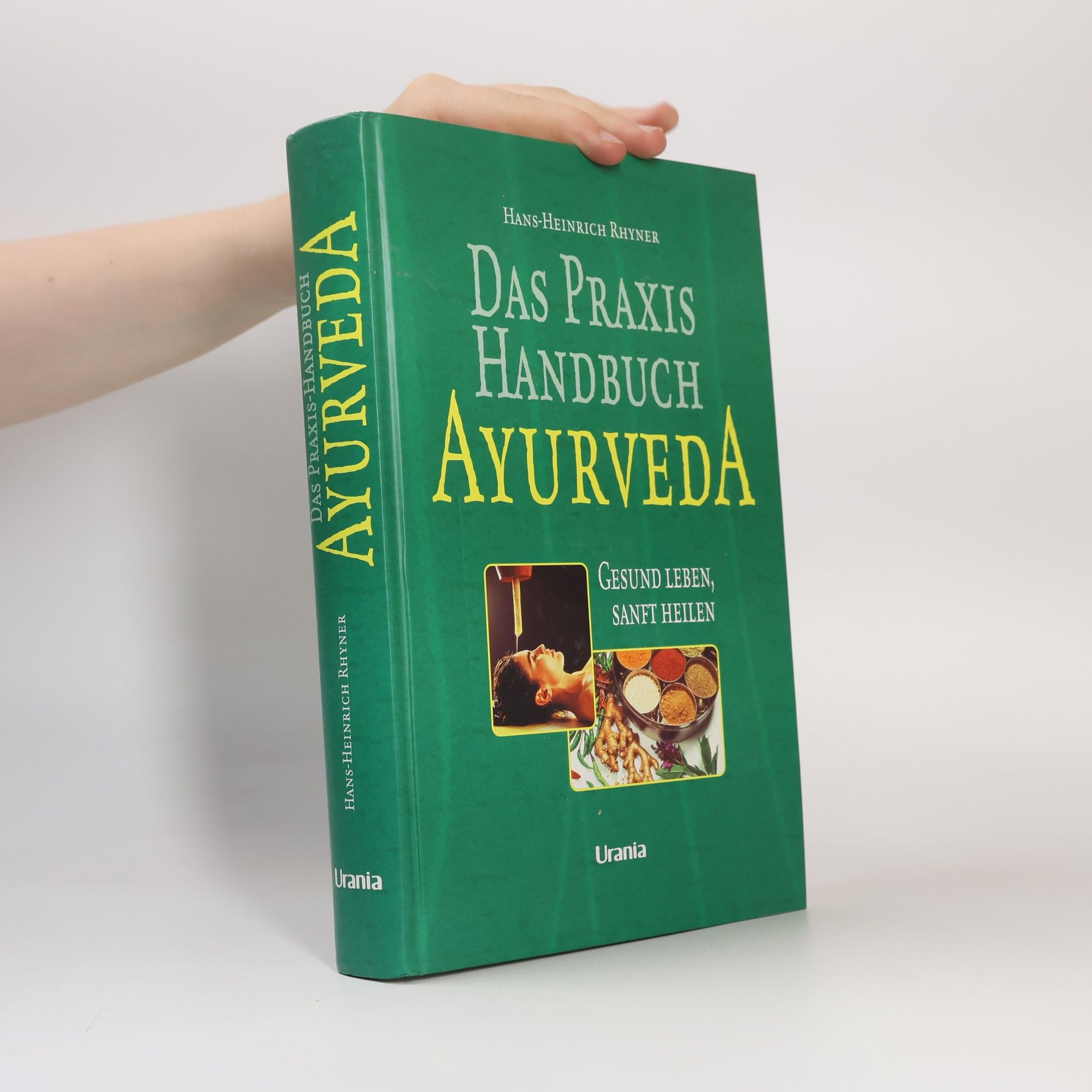 Hans Heinrich Rhyner Das NEUE Ayurveda Praxis Handbuch