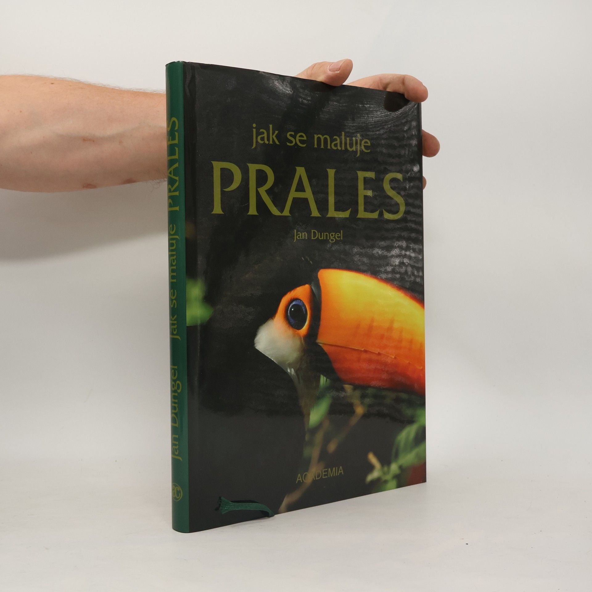 Jan Dungel Jak se maluje prales
