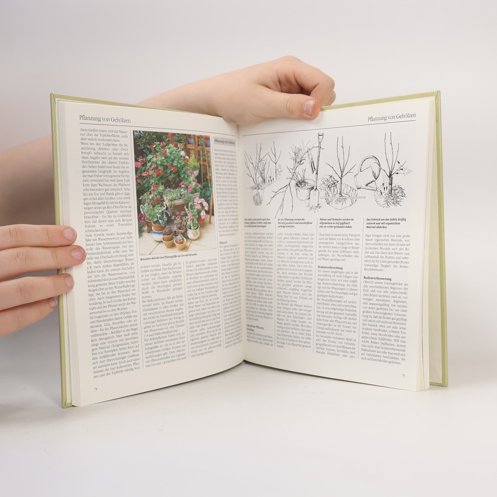 Autorenkollektiv Bertelsmann Gartenlexikon 10 Gartenpraxis M-Z