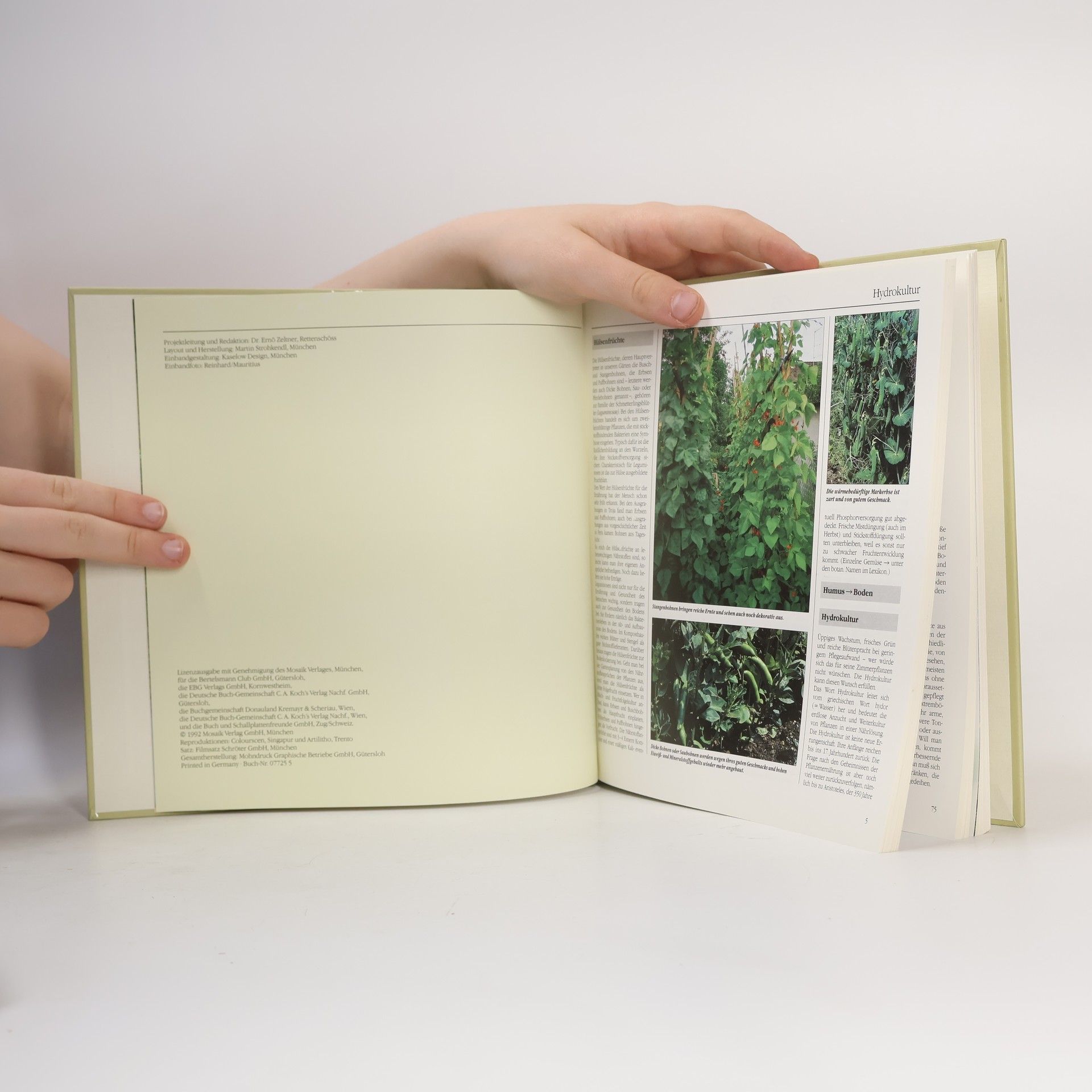 Autorenkollektiv Bertelsmann Gartenlexikon 10 Gartenpraxis M-Z