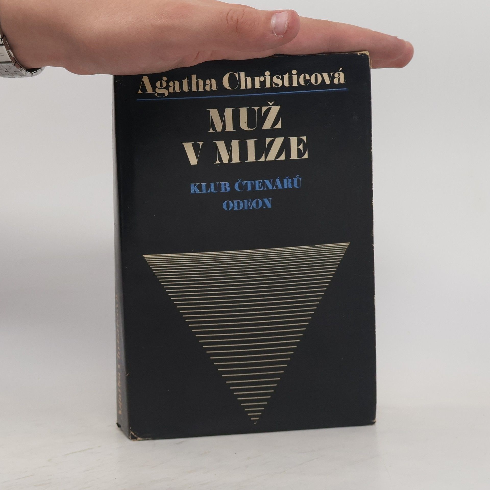 Muž v mlze