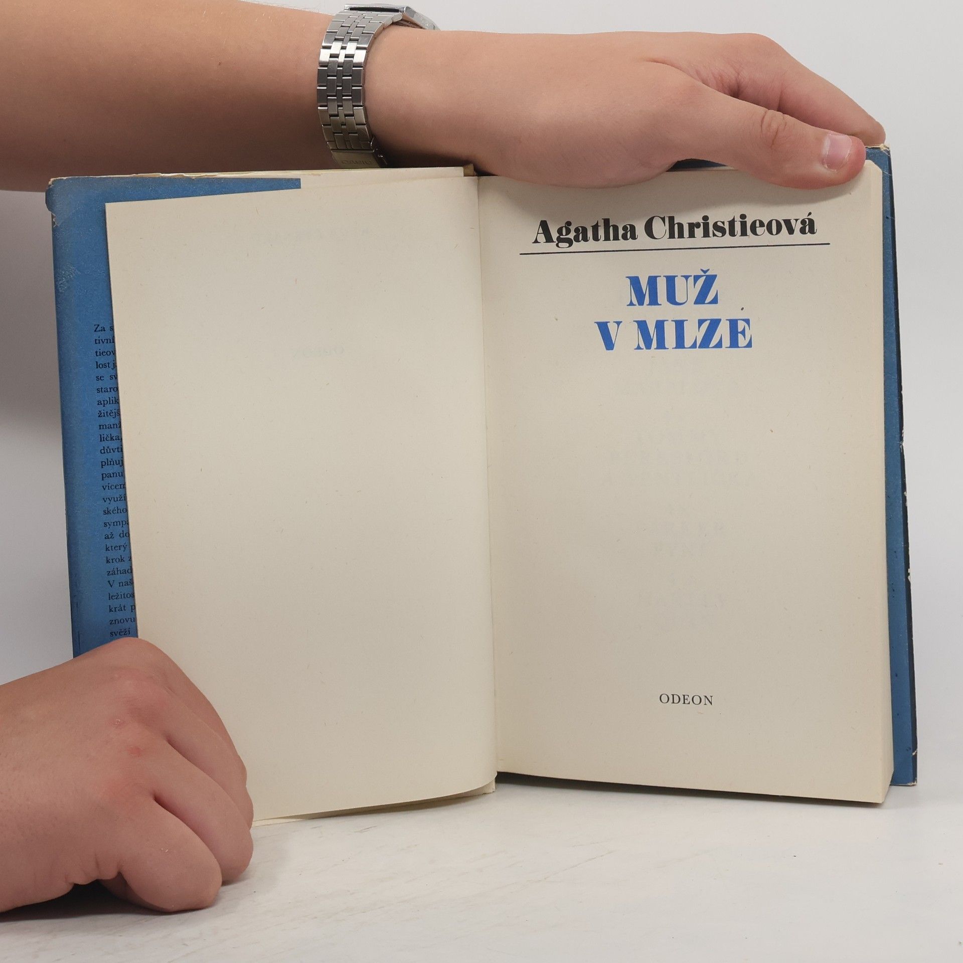 Agatha Christie Muž v mlze