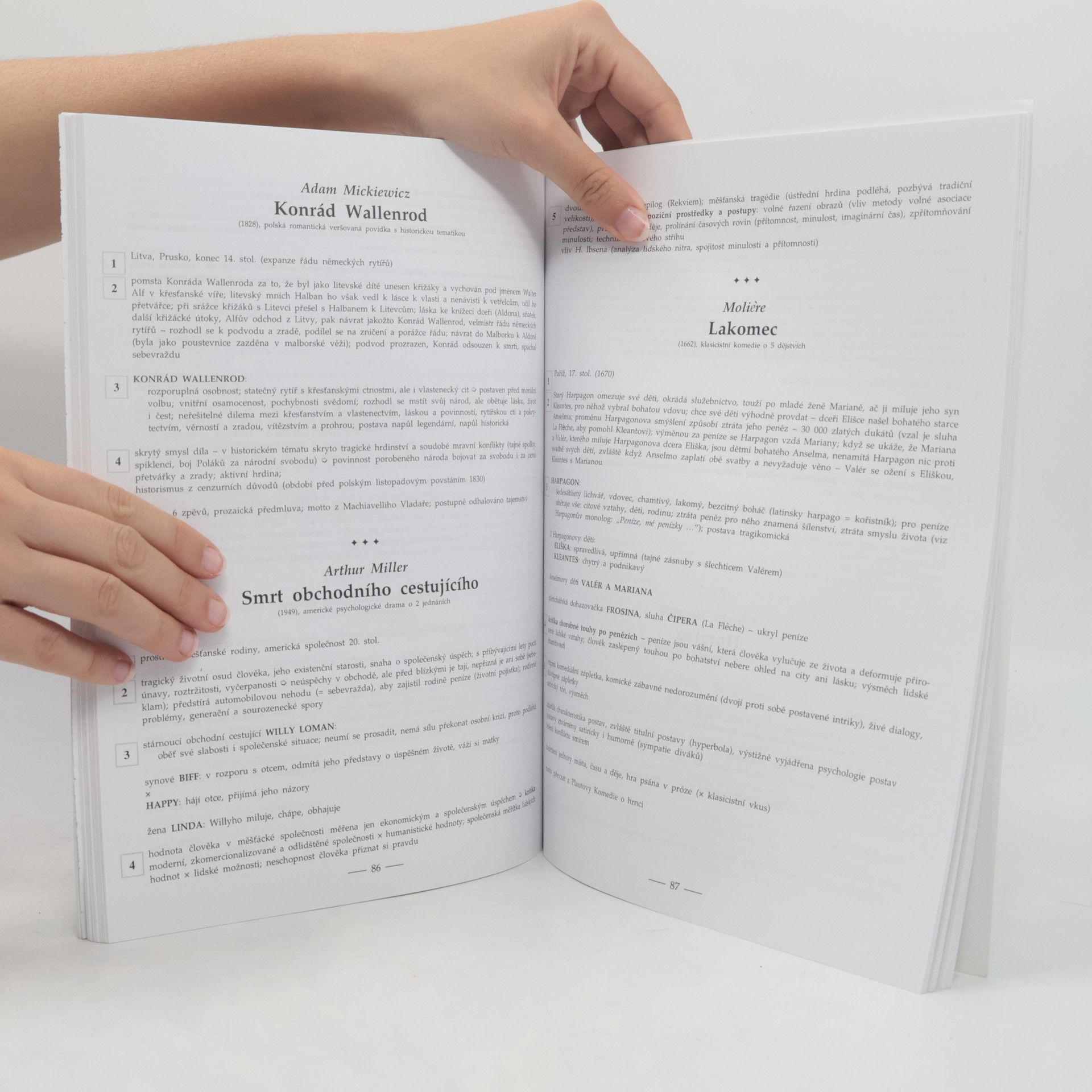 Marie Sochrová Čtenářský deník k Literatuře v kostce