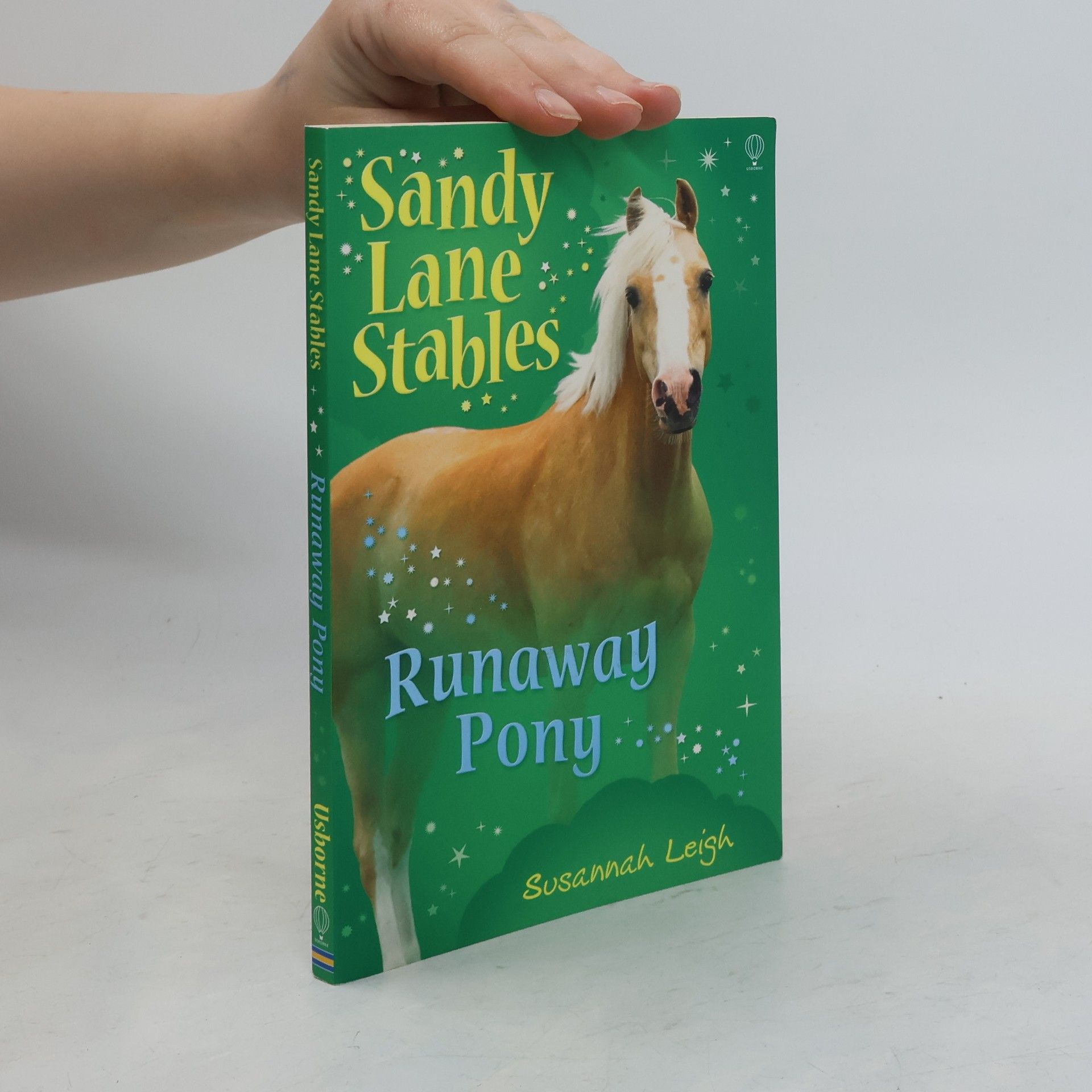 Sandy Lane Stables: Runaway Pony